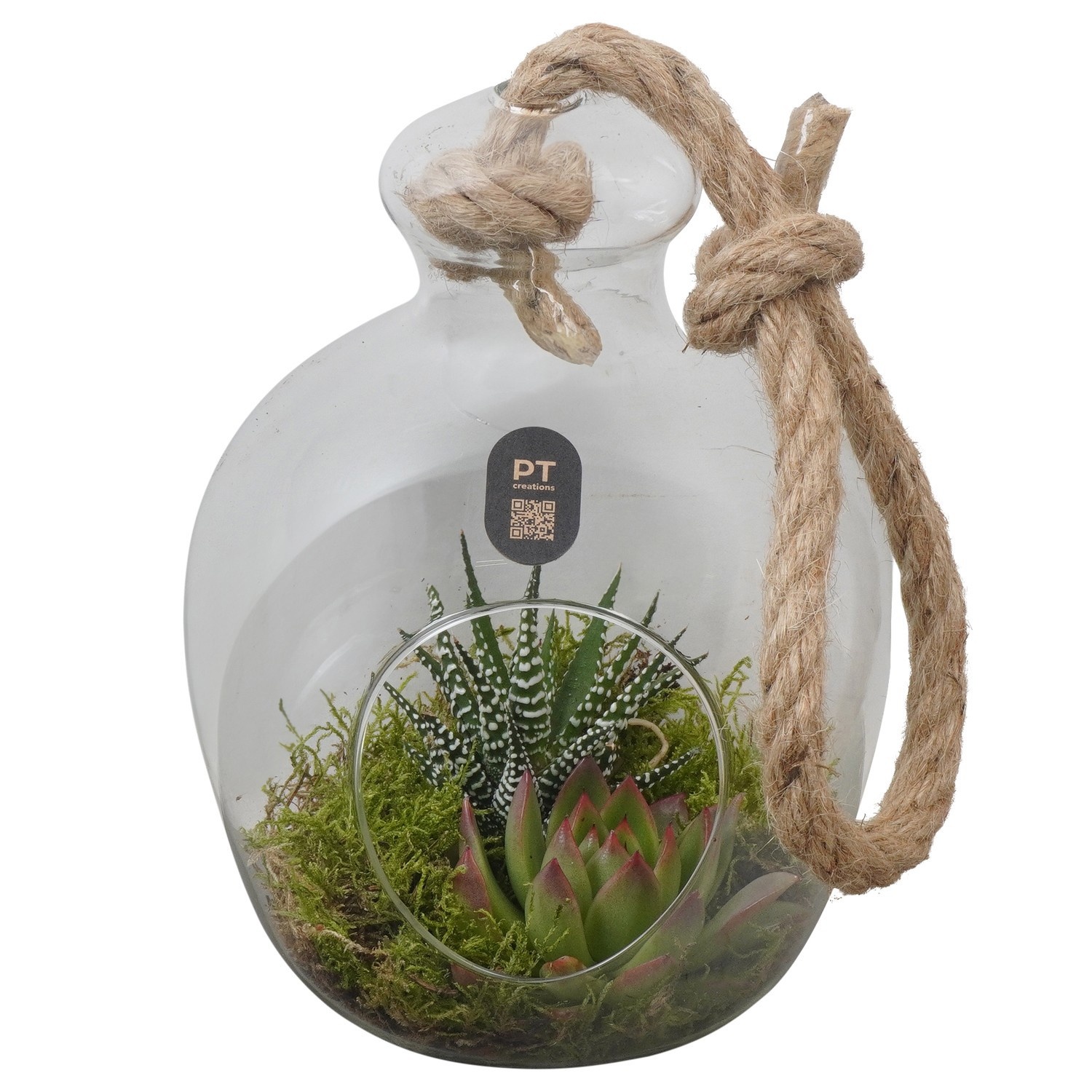 PTIG2704 Arrangement Indoor in glazen vaasje, D 15