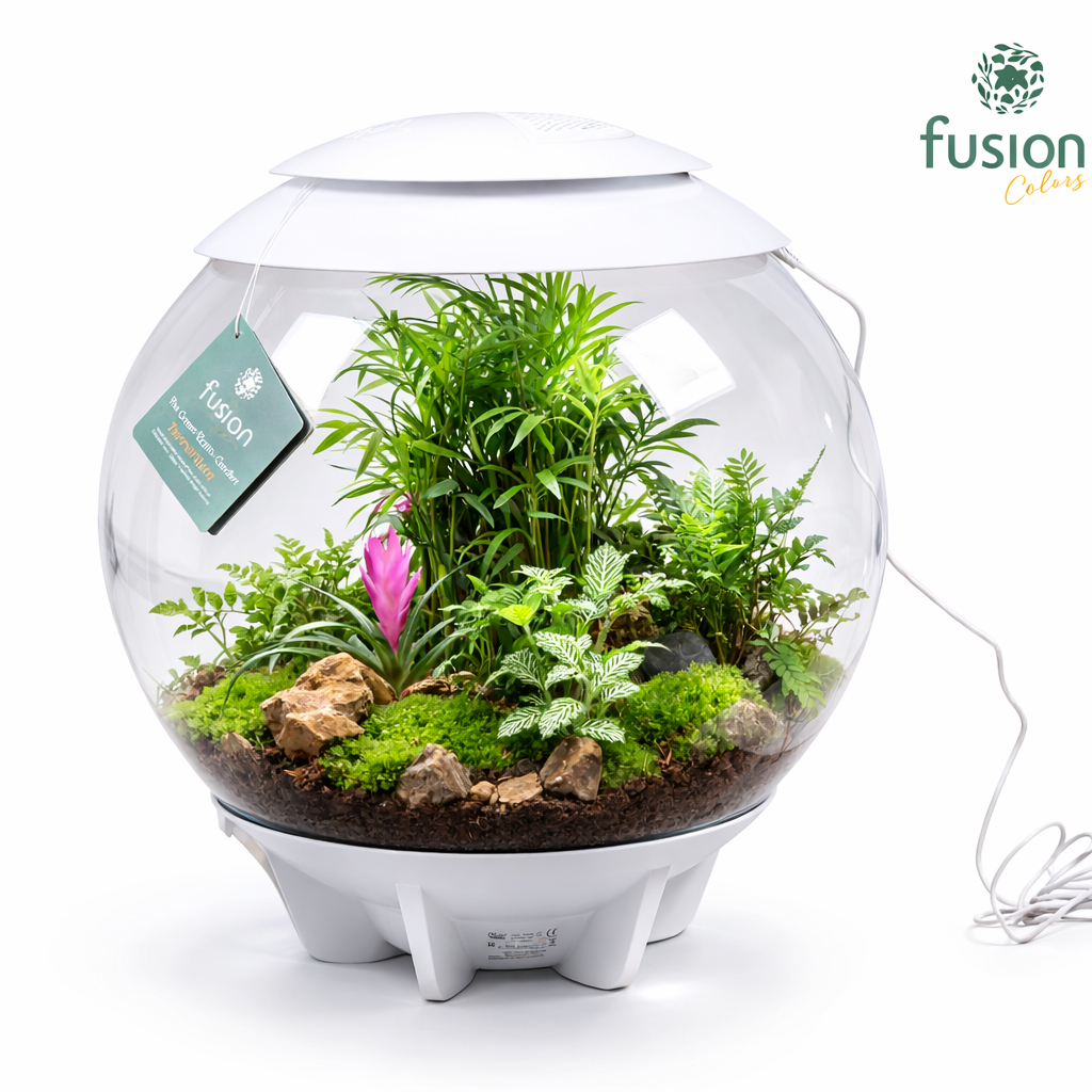 Terrarium XXL Exclusive wit met arrangement, D 45