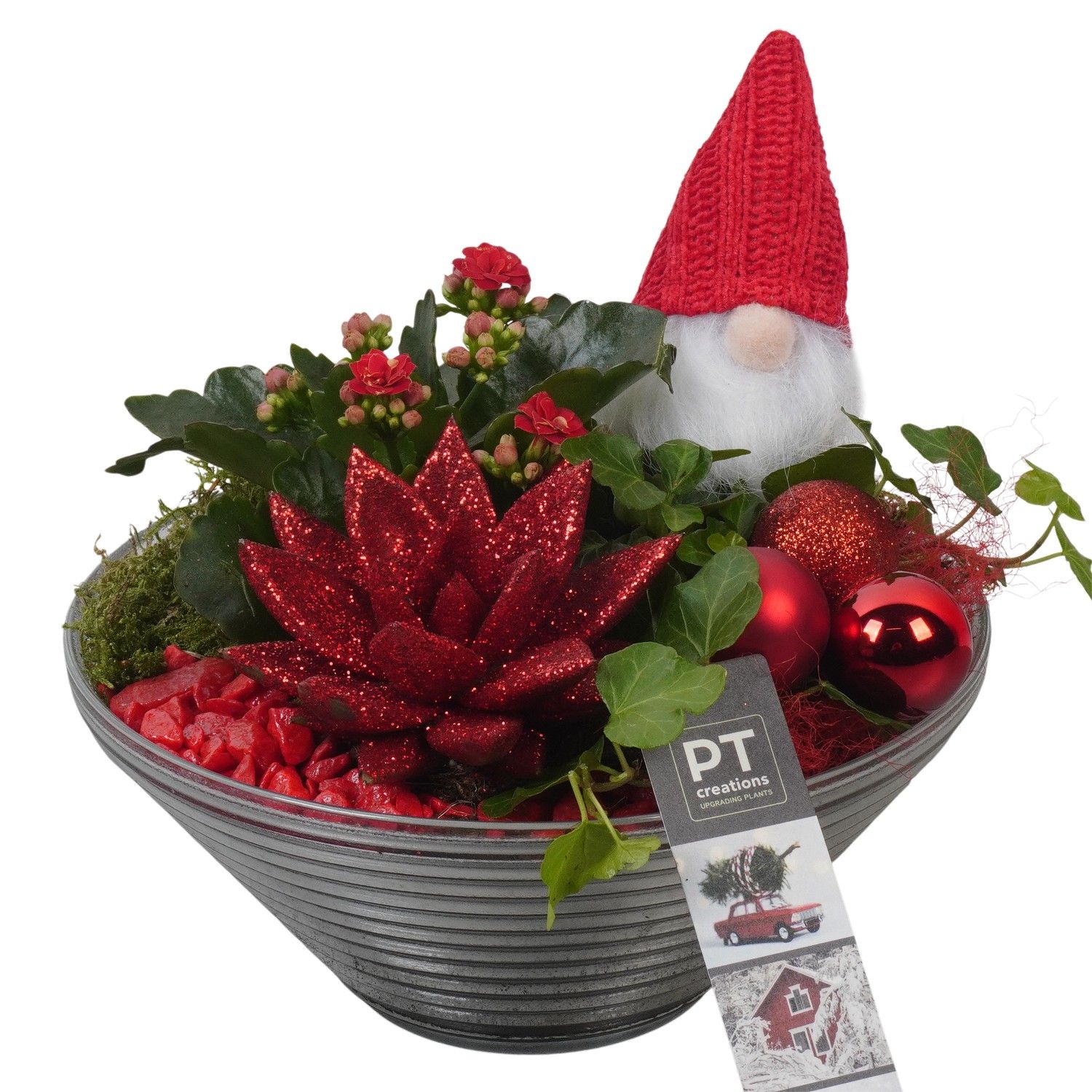PTCHR7418 Arrangement Christmas Red in glas schaal, D 19 cm