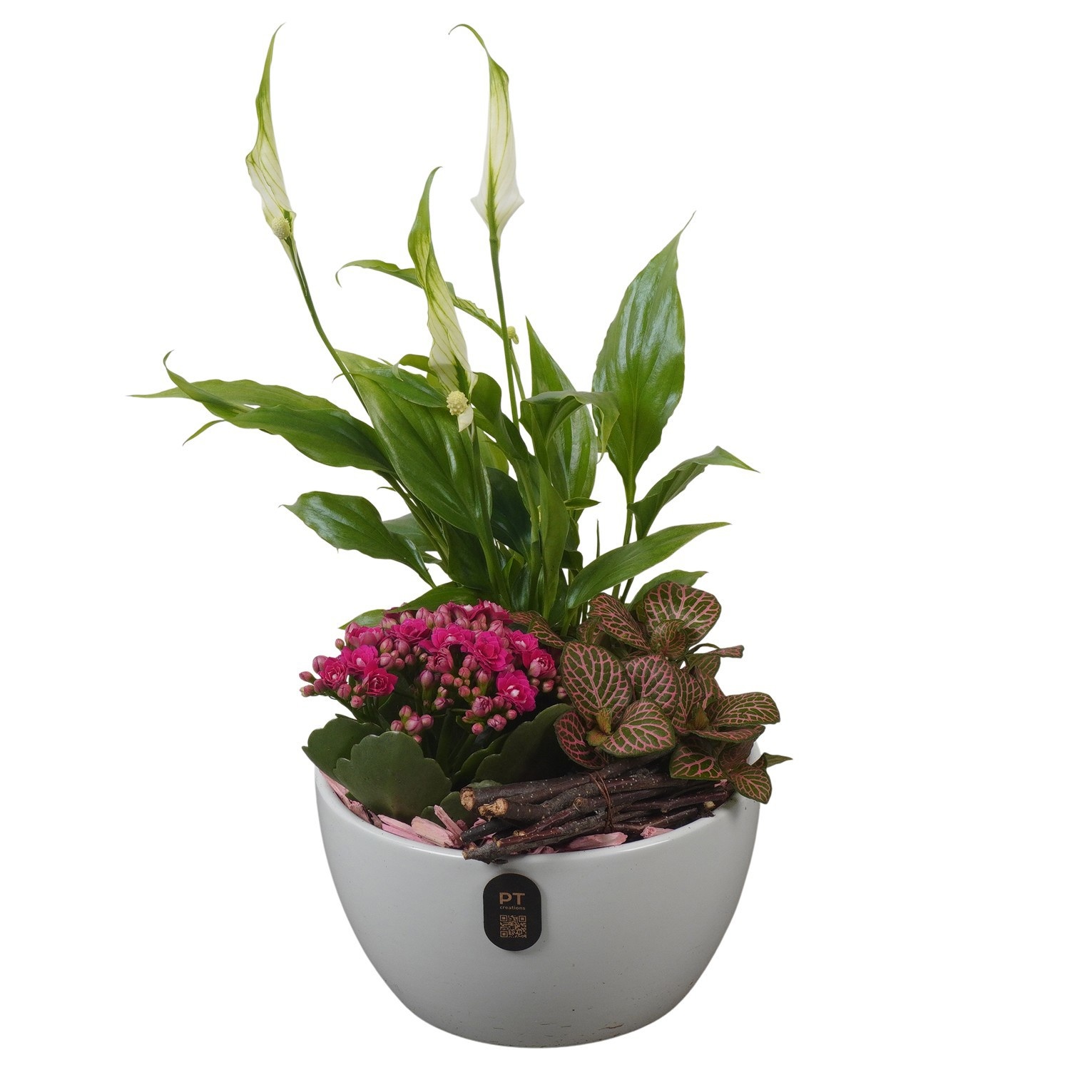 PTIB5152 Arrangement Indoor in keramiek schaal, D 15