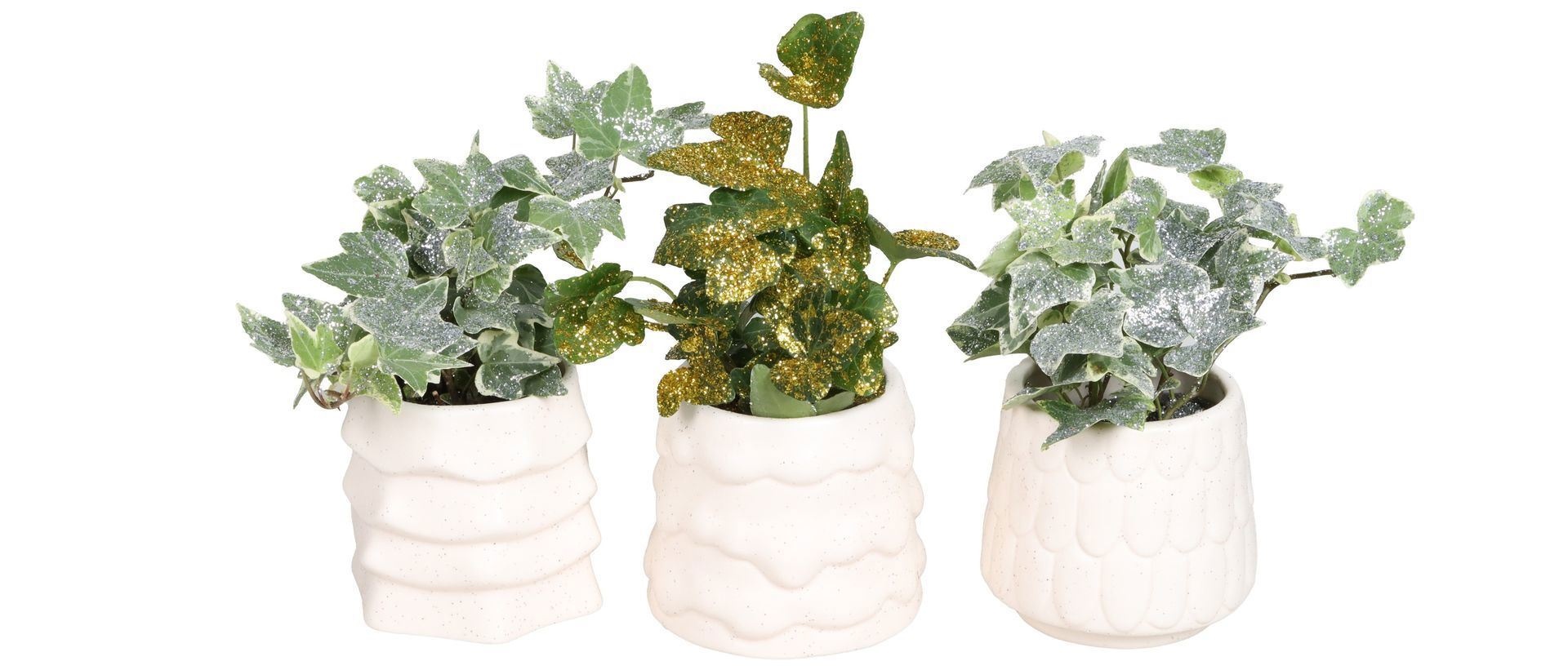 L 67456 With Hedera Helix Mix Glitter 6 cm, D 6