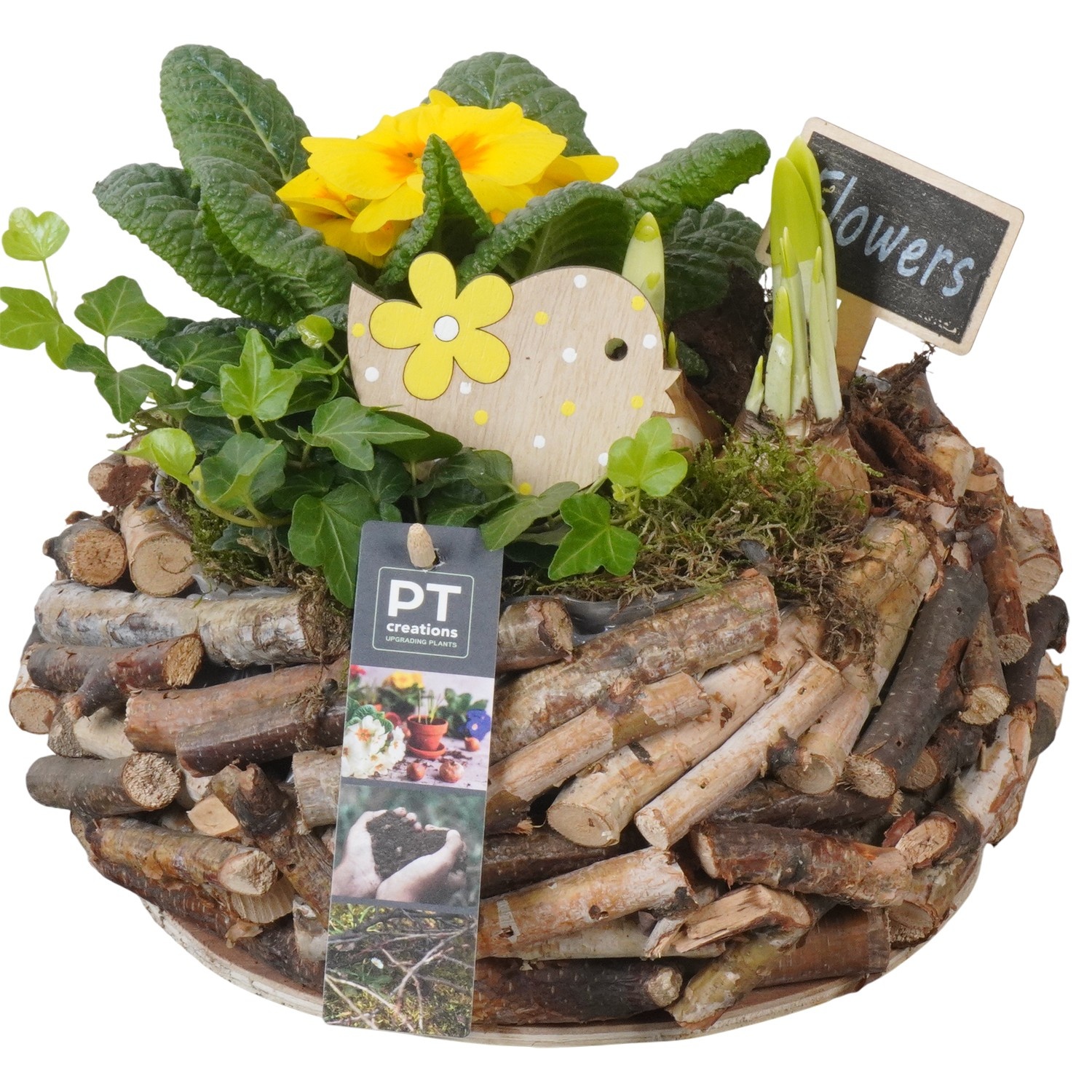 PTBM3903 Arrangement Flower Bulbs Mix in houten pot, D 23