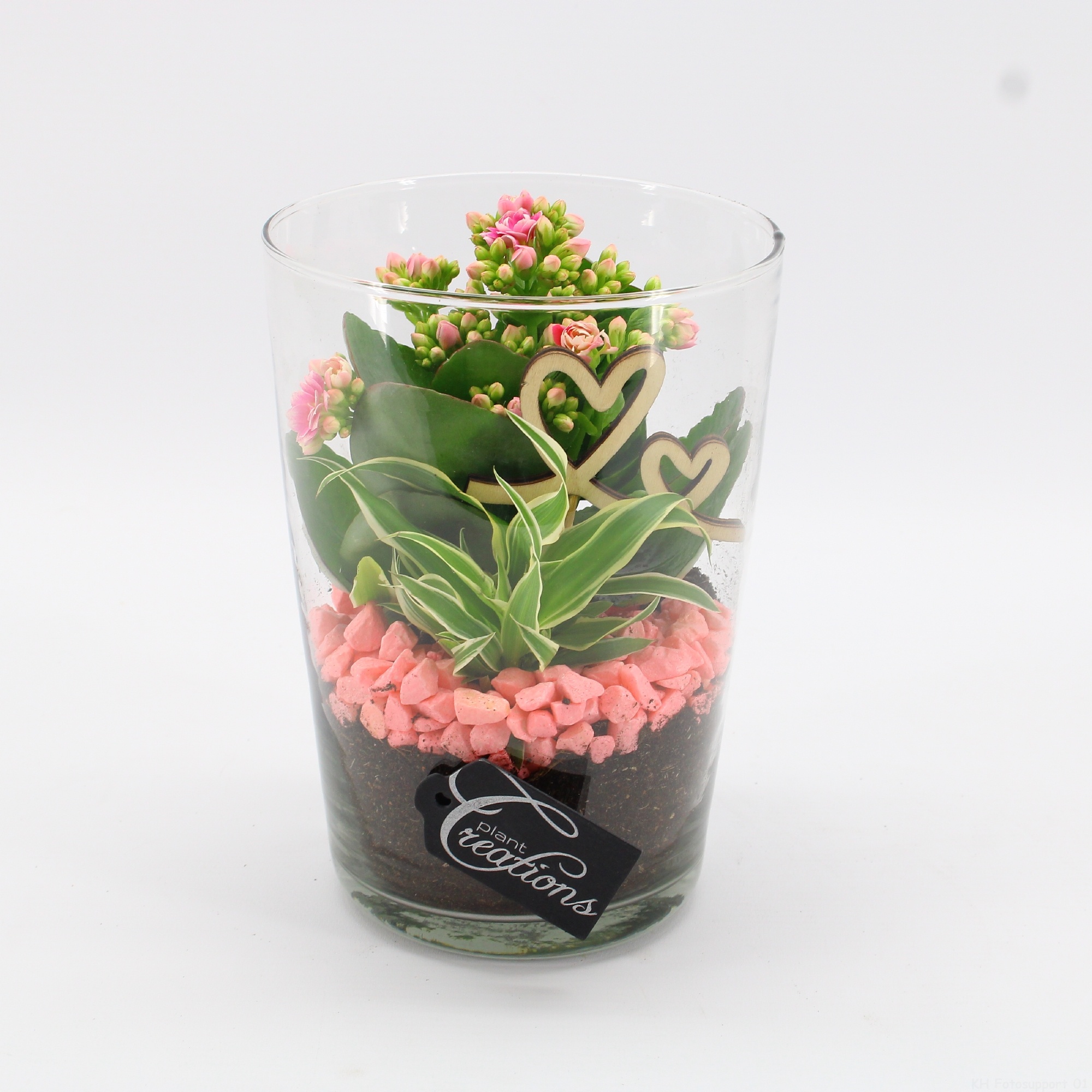 MDCR-2624 Mother's day Essentials, D 14