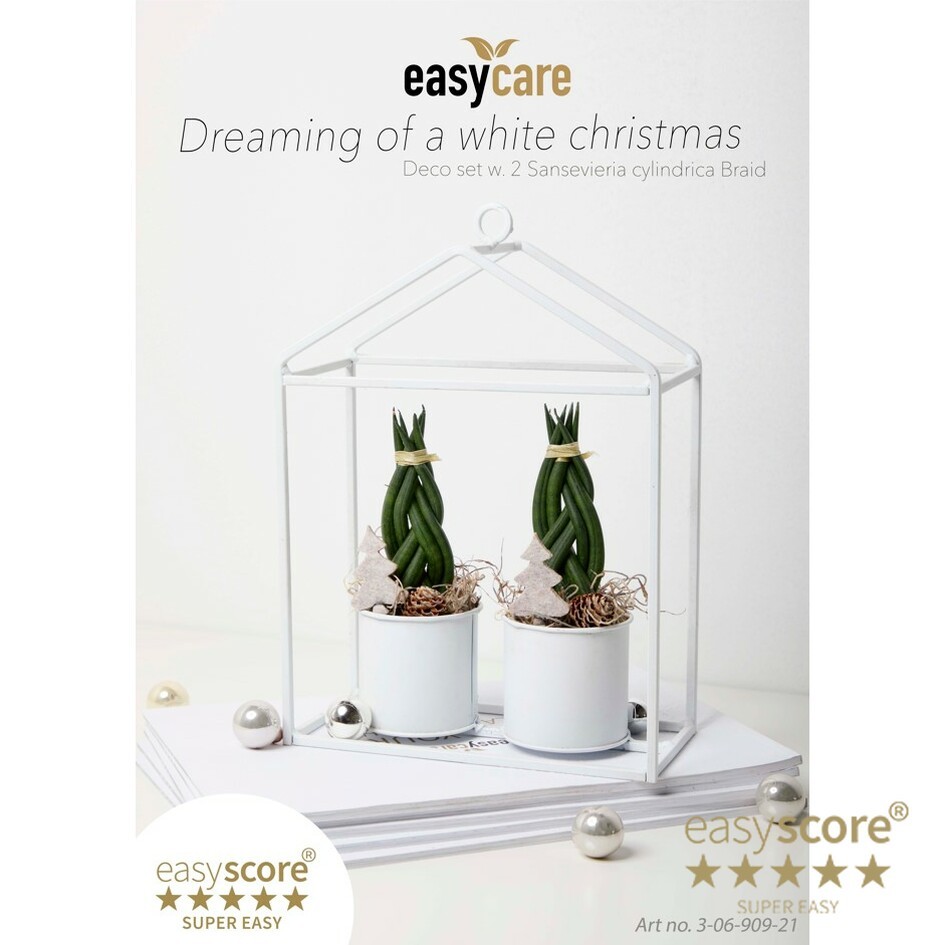 EasyCare Christmas Greenhouse, D 7