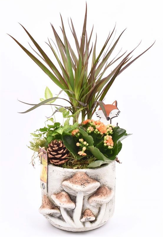 Cement pot paddenstoel 14cm, D 14