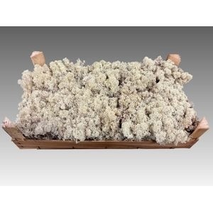 Мох Овериг, шт.