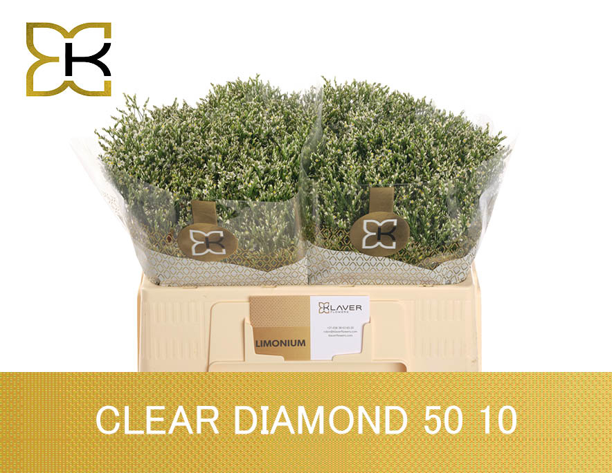 Лимониум Клеа Даймонд 50, шт.