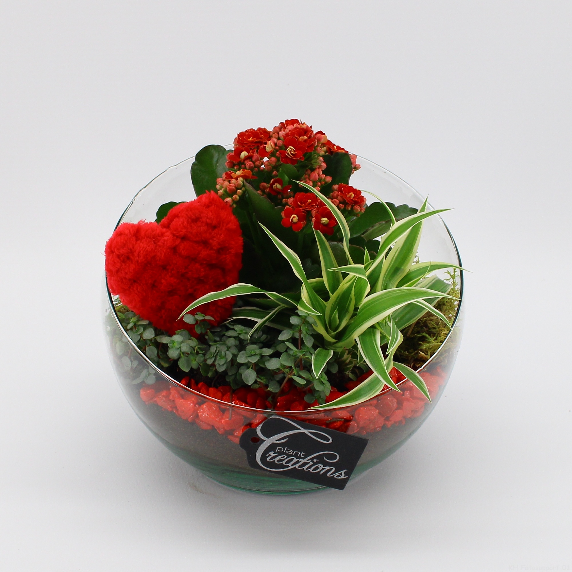 RMCR-2620R Romantic Essentials, D 18