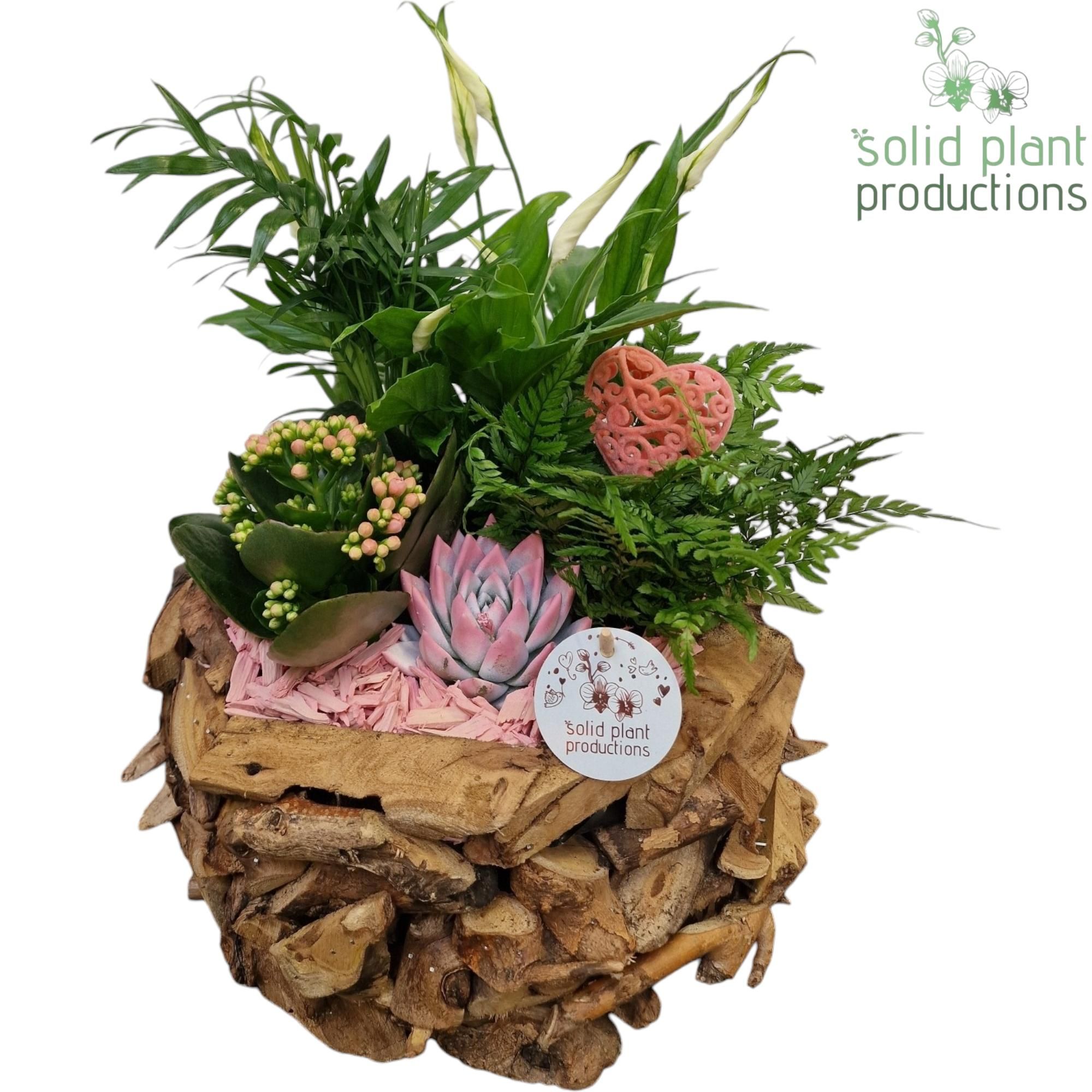 SCE013 Driftwood Round Pink Love, D 31