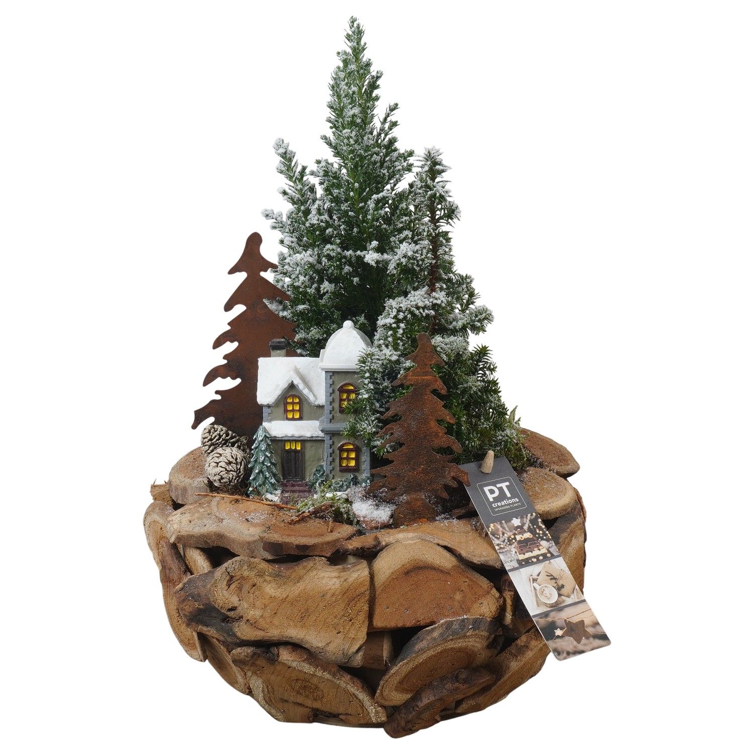 PTCWW6866 Arrangement Winter in houten bak, D 24 cm