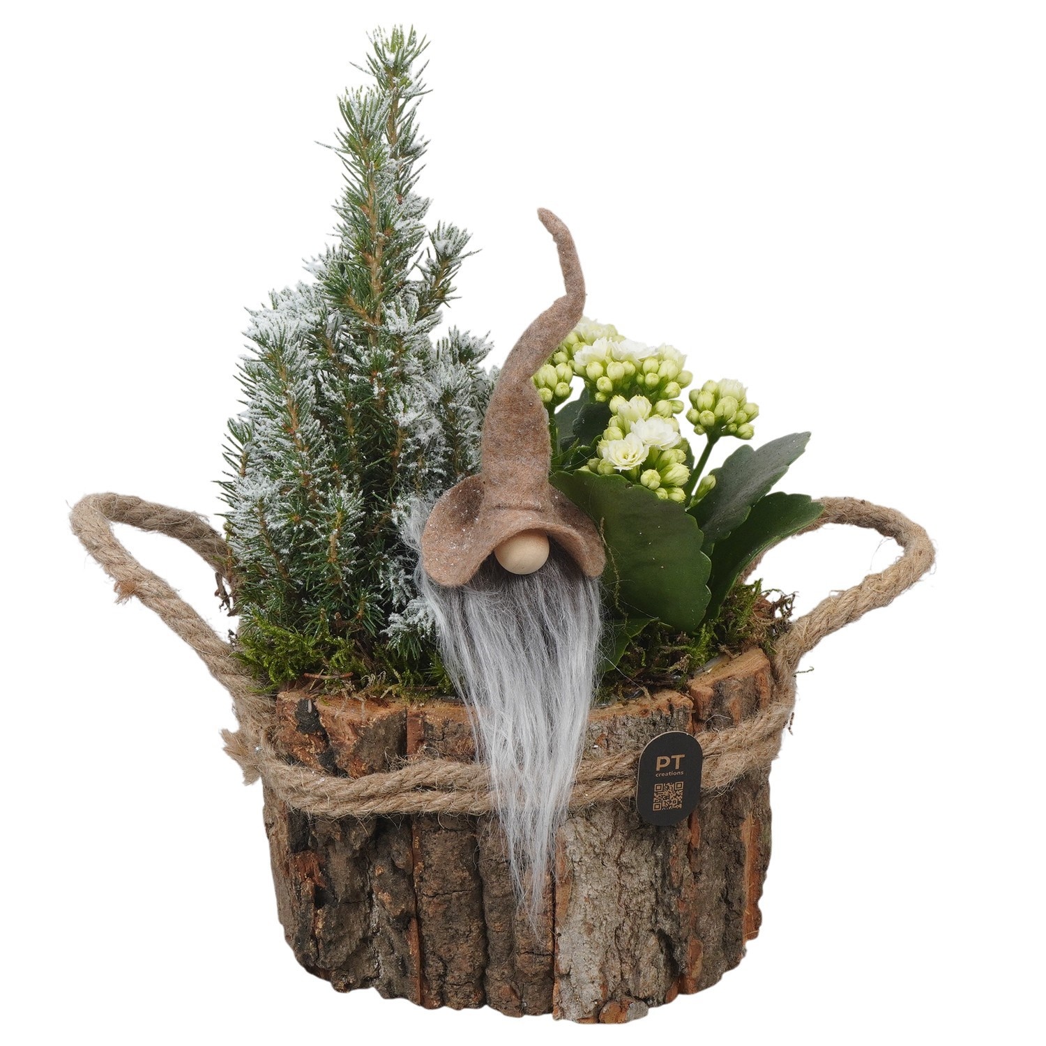 PTCHB5854 Arrangement Christmas Bronze in houten bak, D 17