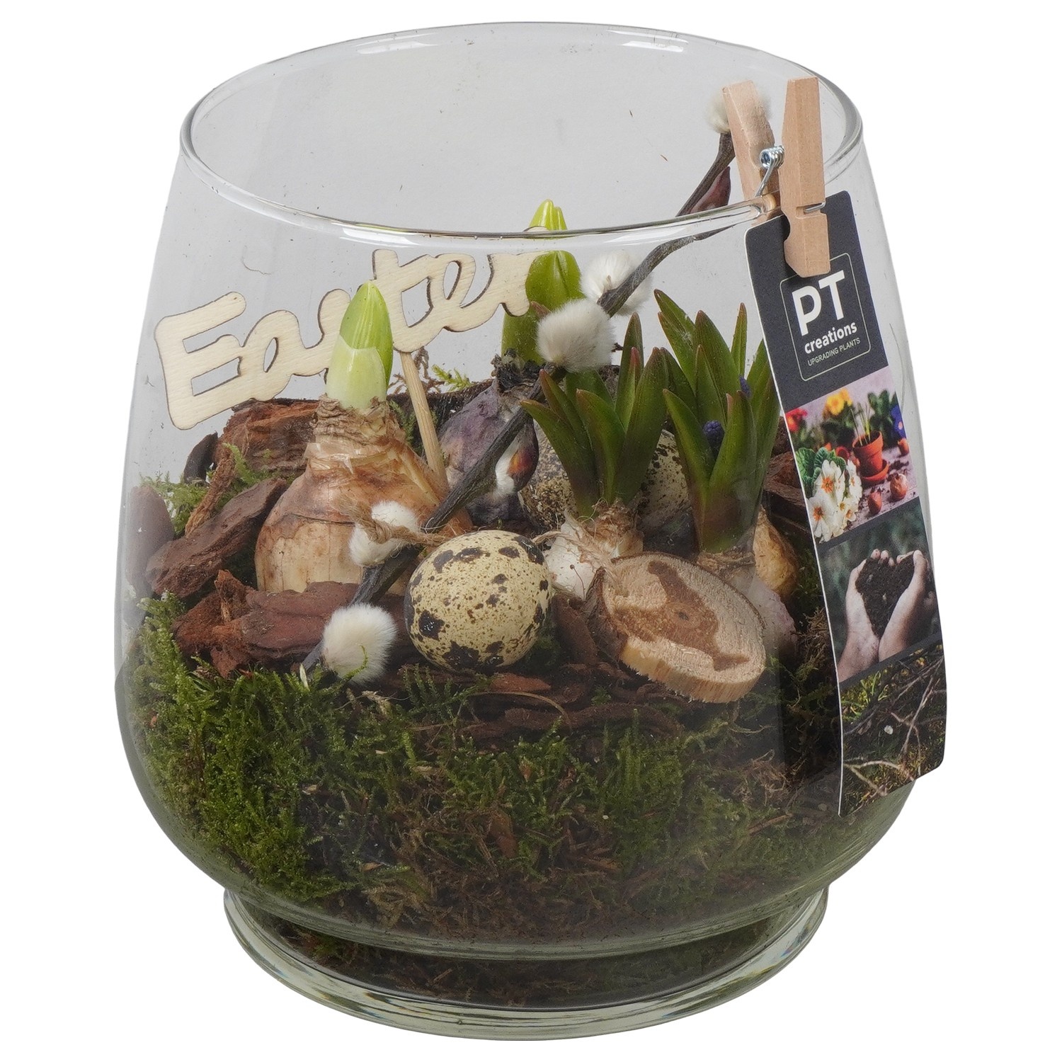 PTBMP5745 Arrangement Easter Bulbs Mix in glazen vaas, D 16