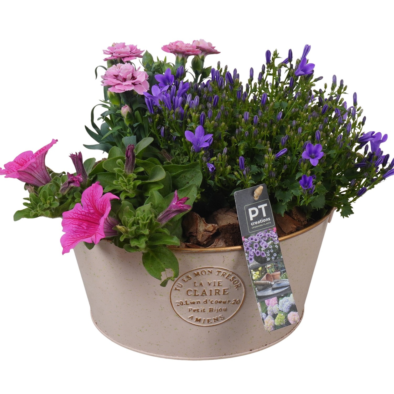 PTPP6872 Arrangement Patio in metalen schaal, D 23