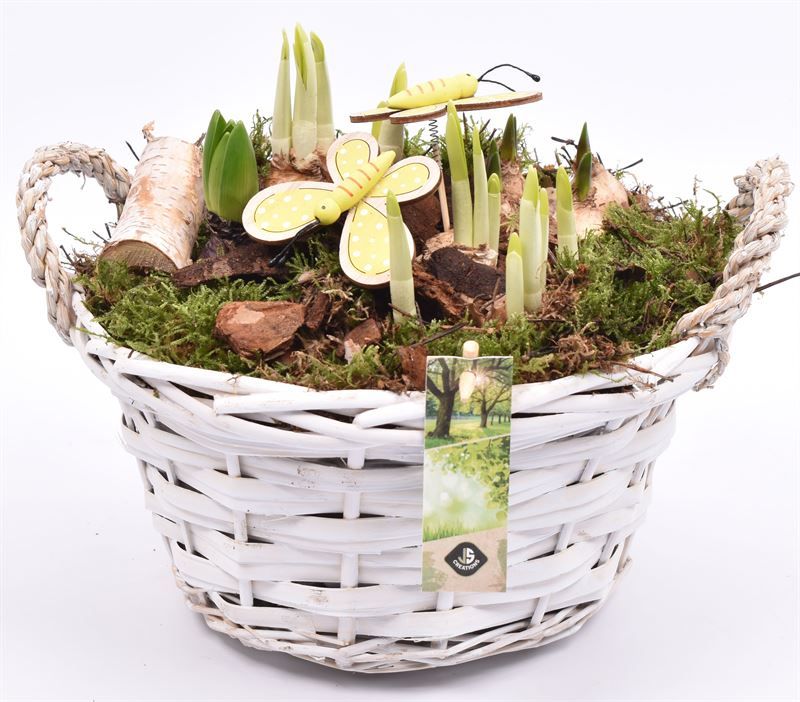 Wilg mand rond wit 25cm, D 25