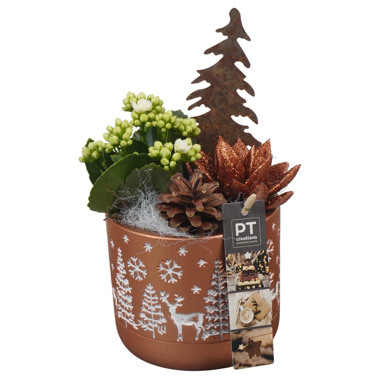 PTCHB9763 Arrangement Christmas Bronze in beton pot, D 12 cm