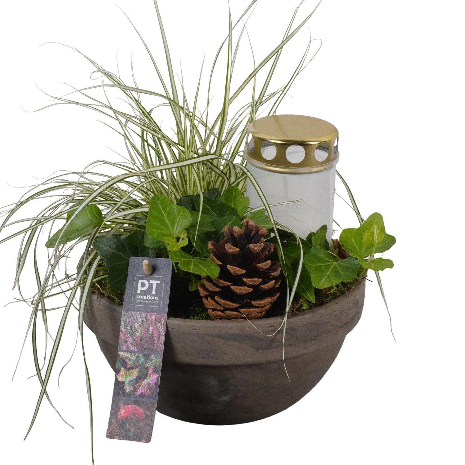 PTAH8637 Arrangement Allerheiligen in terracotta schaal, D 19 cm PTAH8637 Arrangement Allerheiligen in terracotta schaal, D 19 cm