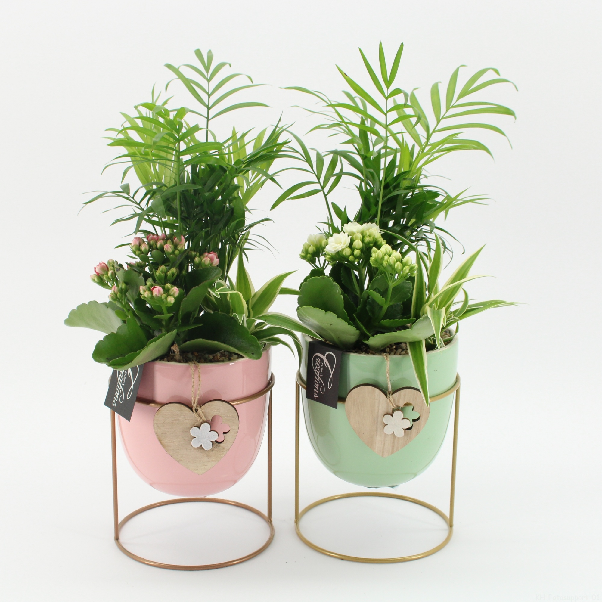 RMCR-2628M Romantic Essentials, D 13