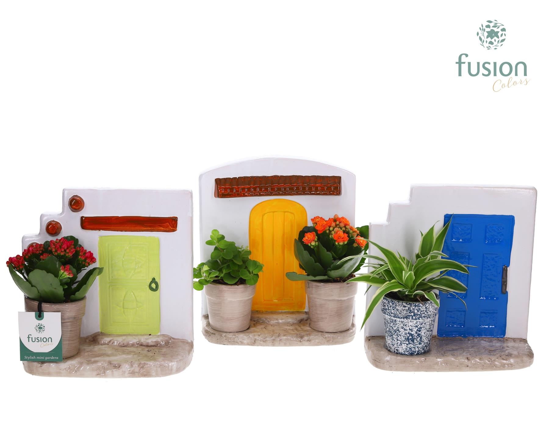 Terracotta Muurplanter met Arrangement, D 20