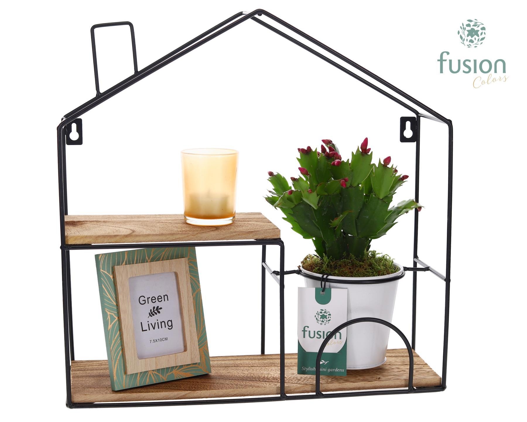 Wandhuis metaal met Schlumbergera, D 36 cm Wandhuis metaal met Schlumbergera, D 36 cm