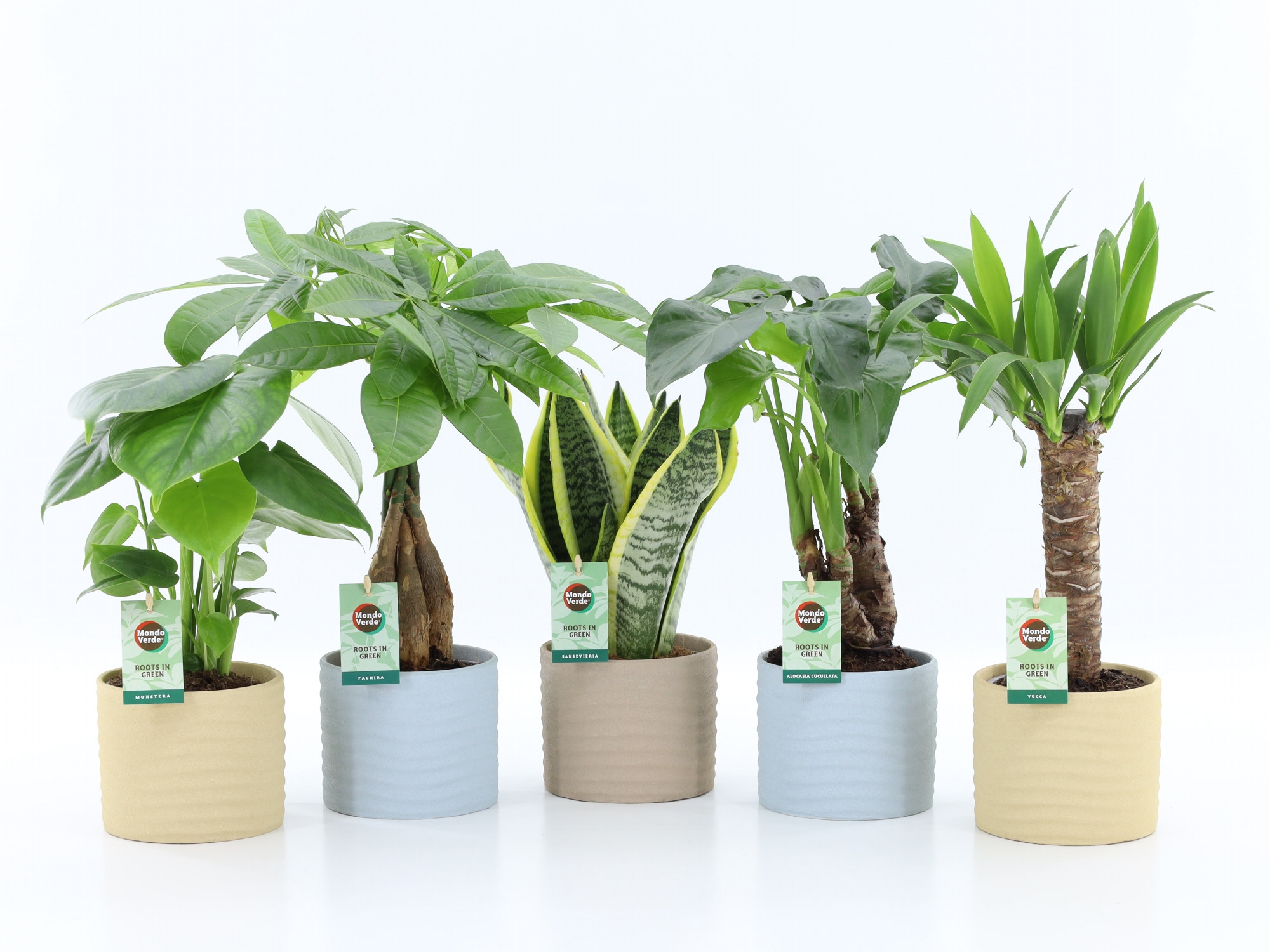 Tropic Mix in Ibiza keramiek, D 13