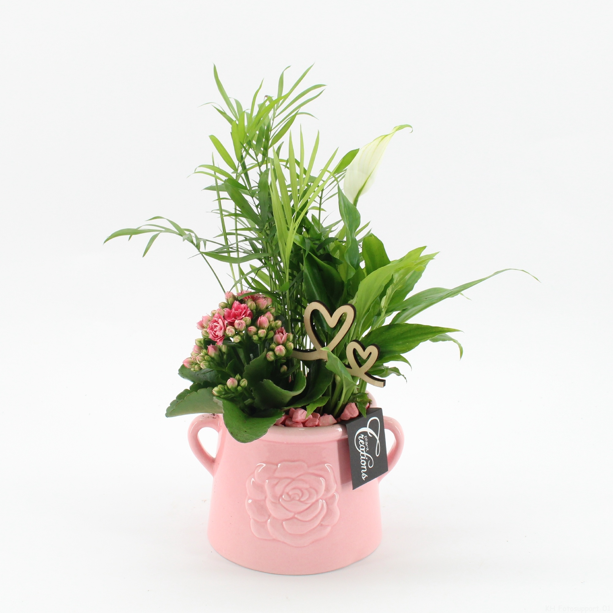 ENMD-2609 English Mother's day, D 16