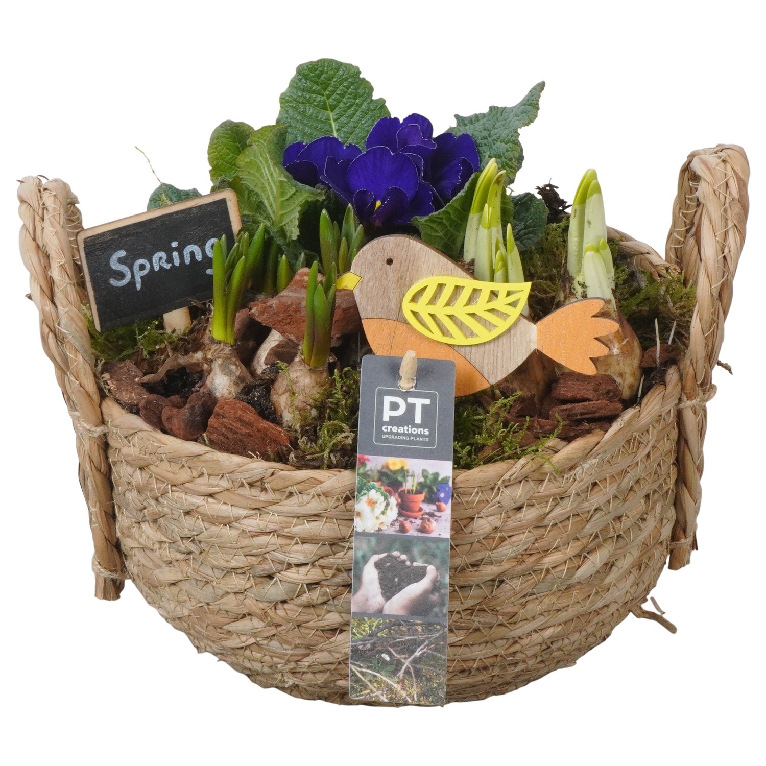 PTBM3814 Arrangement Flower Bulbs Mix in rieten mand, D 20