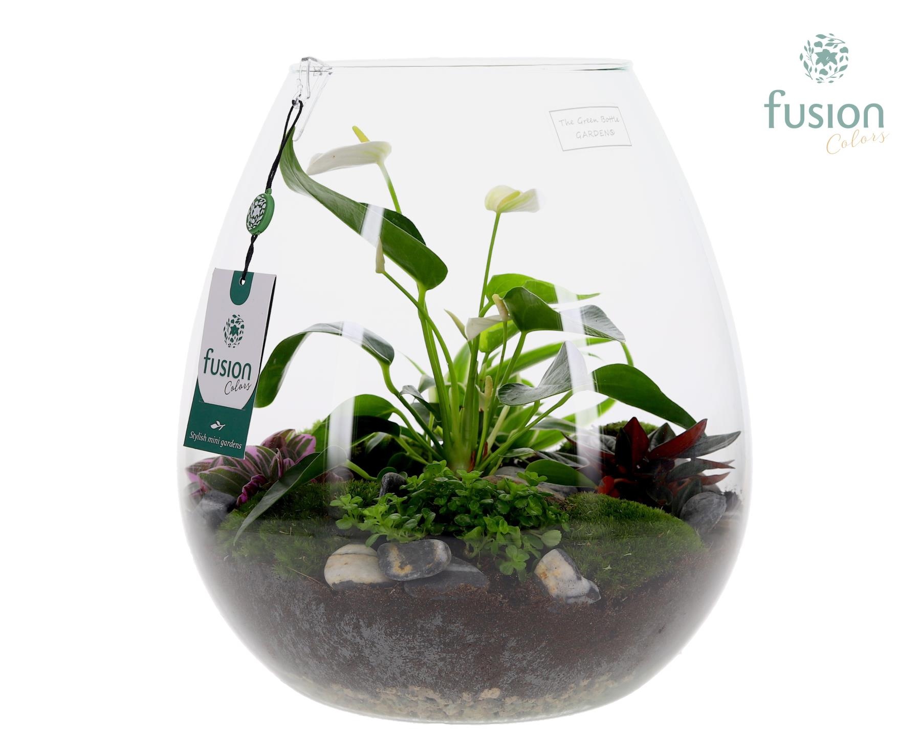 Green Bottle Abby XLarge met Anthurium arrangement, D 29