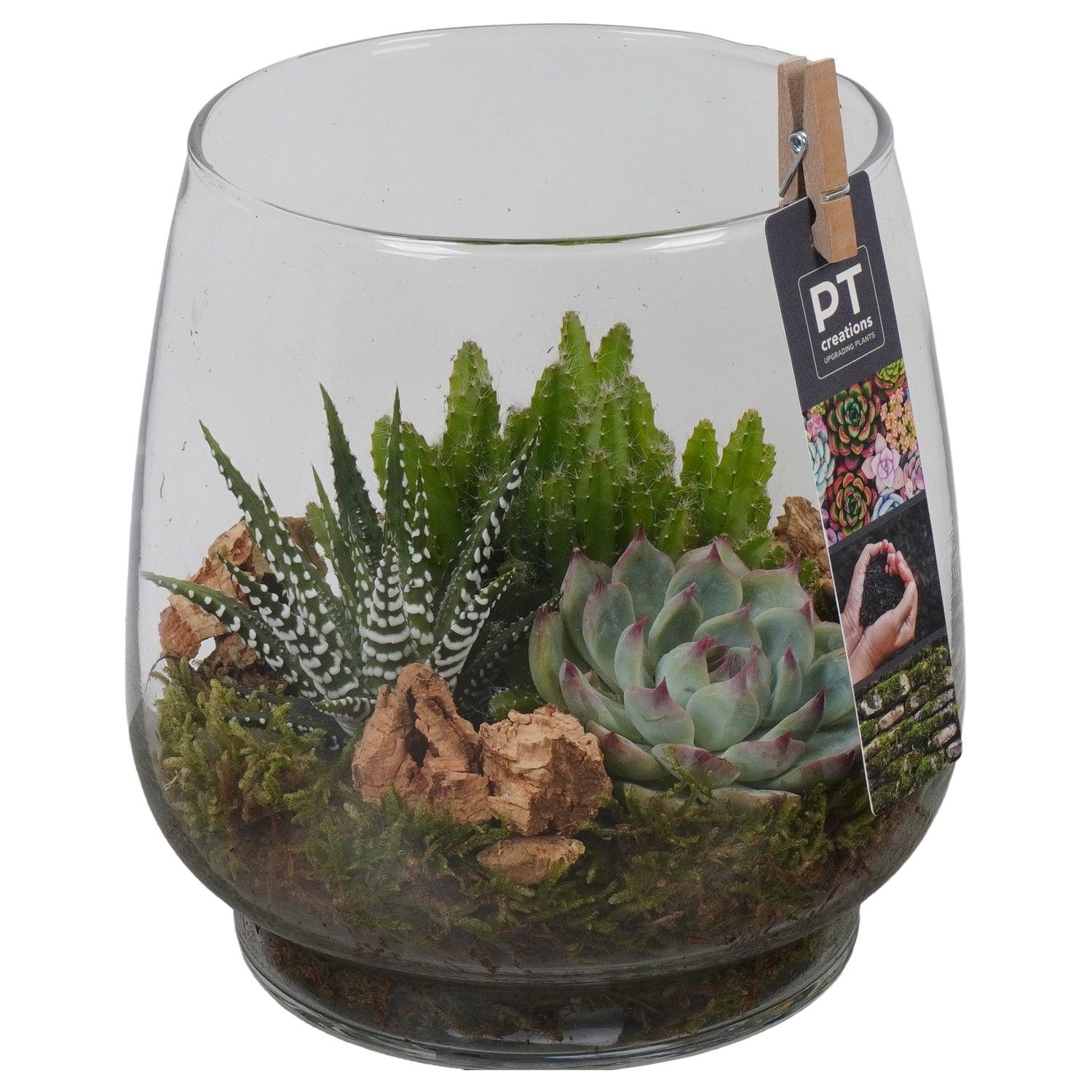 PTGIG2134 Arrangement Greens in glass in glazen vaas, D 16 cm PTGIG2134 Arrangement Greens in glass in glazen vaas, D 16 cm