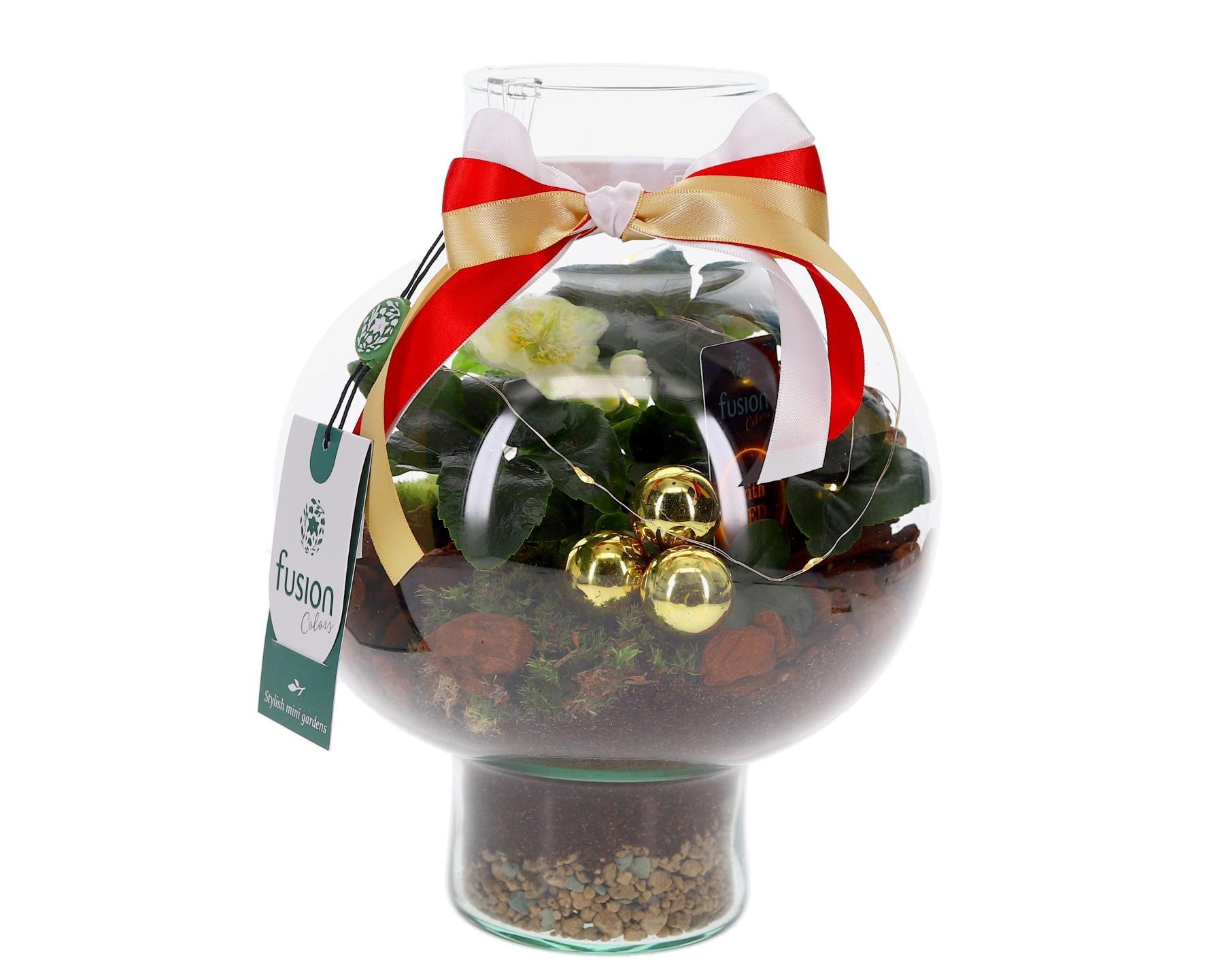 Green BottleLaura Small met Kerst arrangement, D 20 cm Green BottleLaura Small met Kerst arrangement, D 20 cm