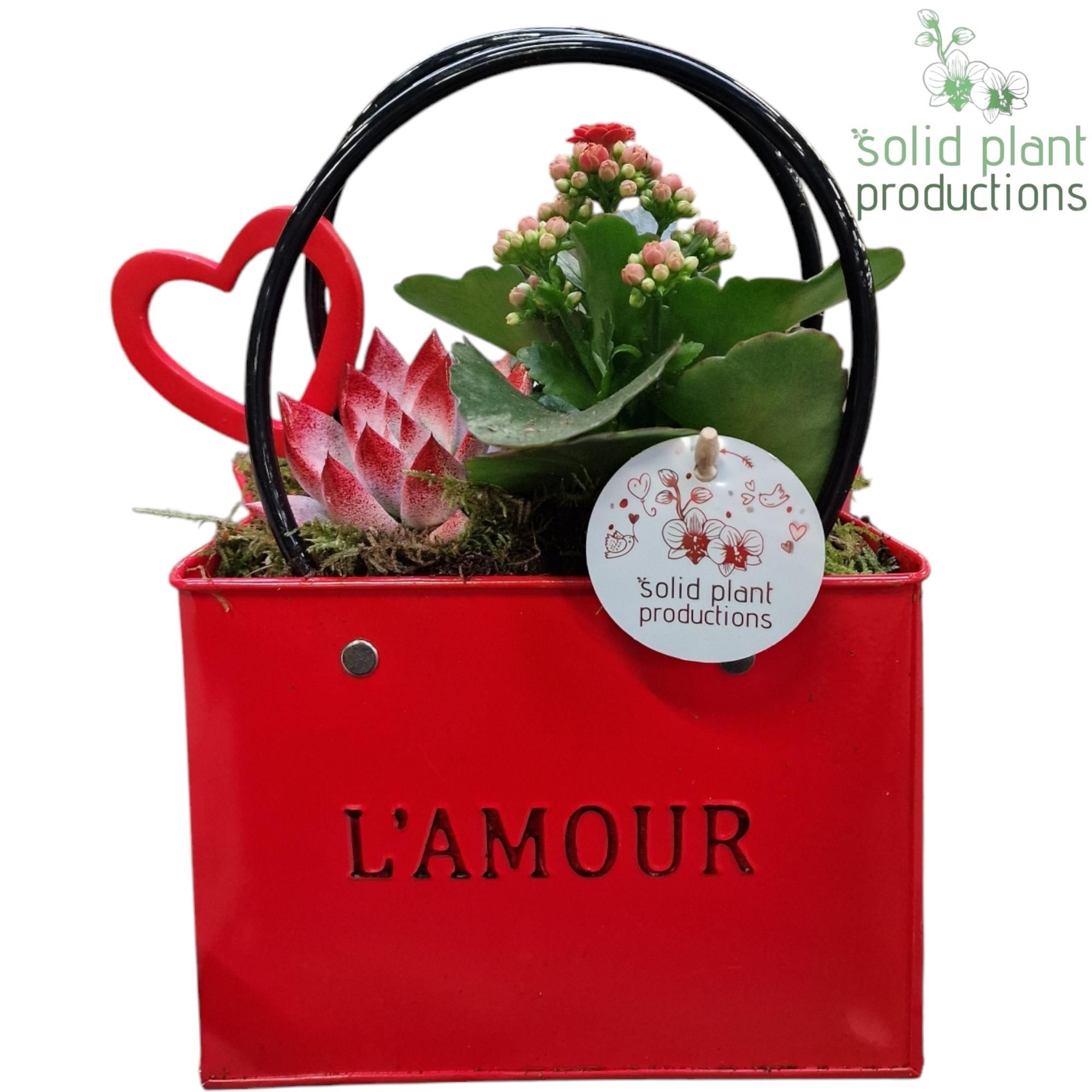 ZKE001 Love Red Bag Large, D 18