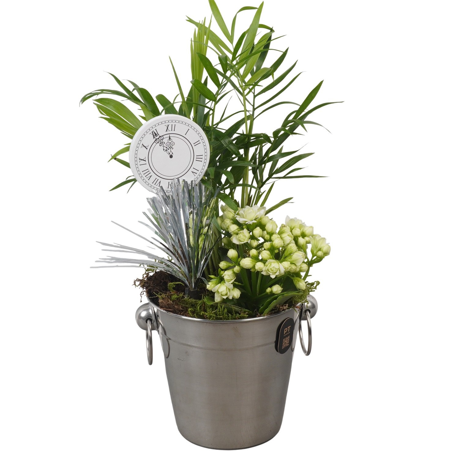 PTON6717 Arrangement New Year in metaal emmer, D 12