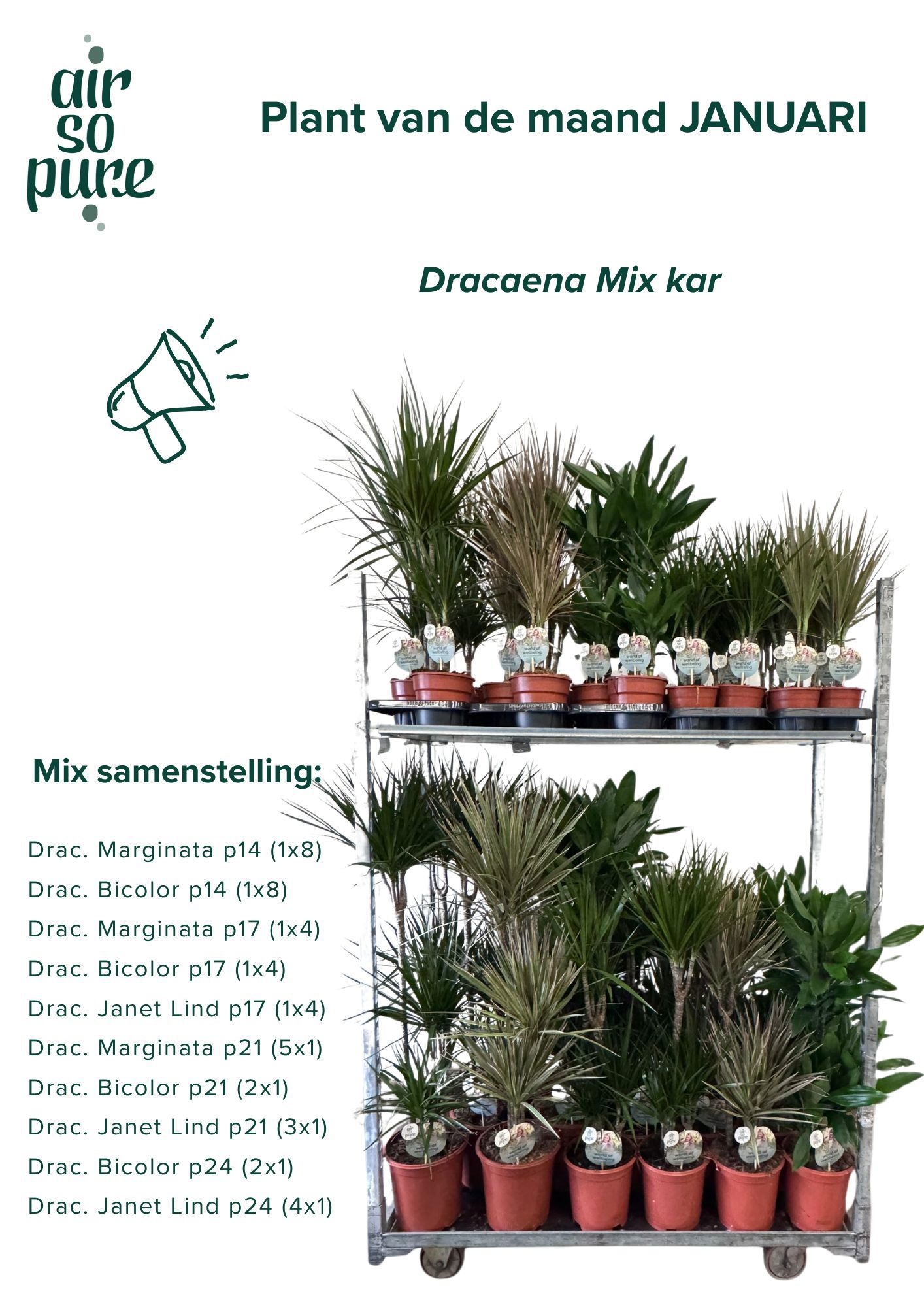 MIX CC Januari (Air so Pure), D 21