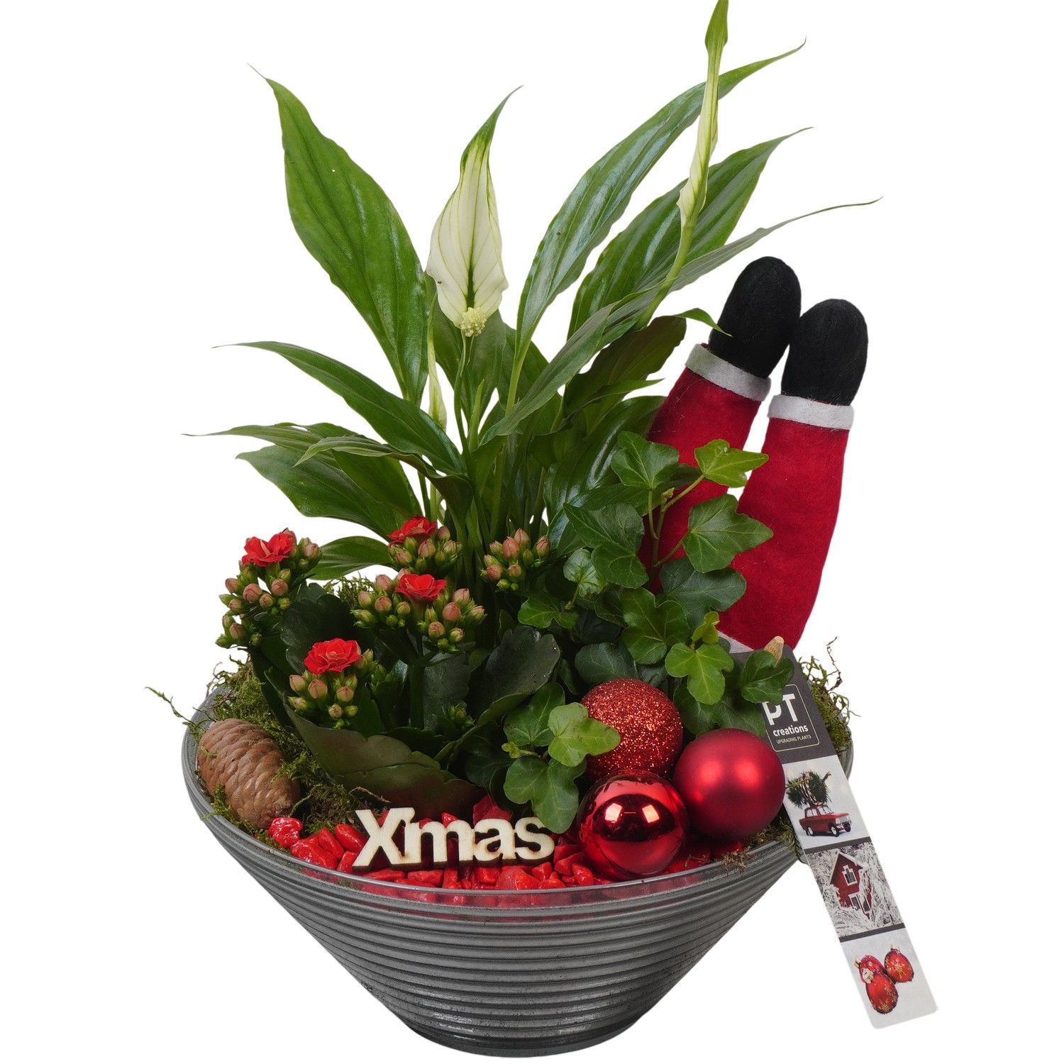 PTCHR7423 Arrangement Christmas Red in glas schaal, D 19 cm