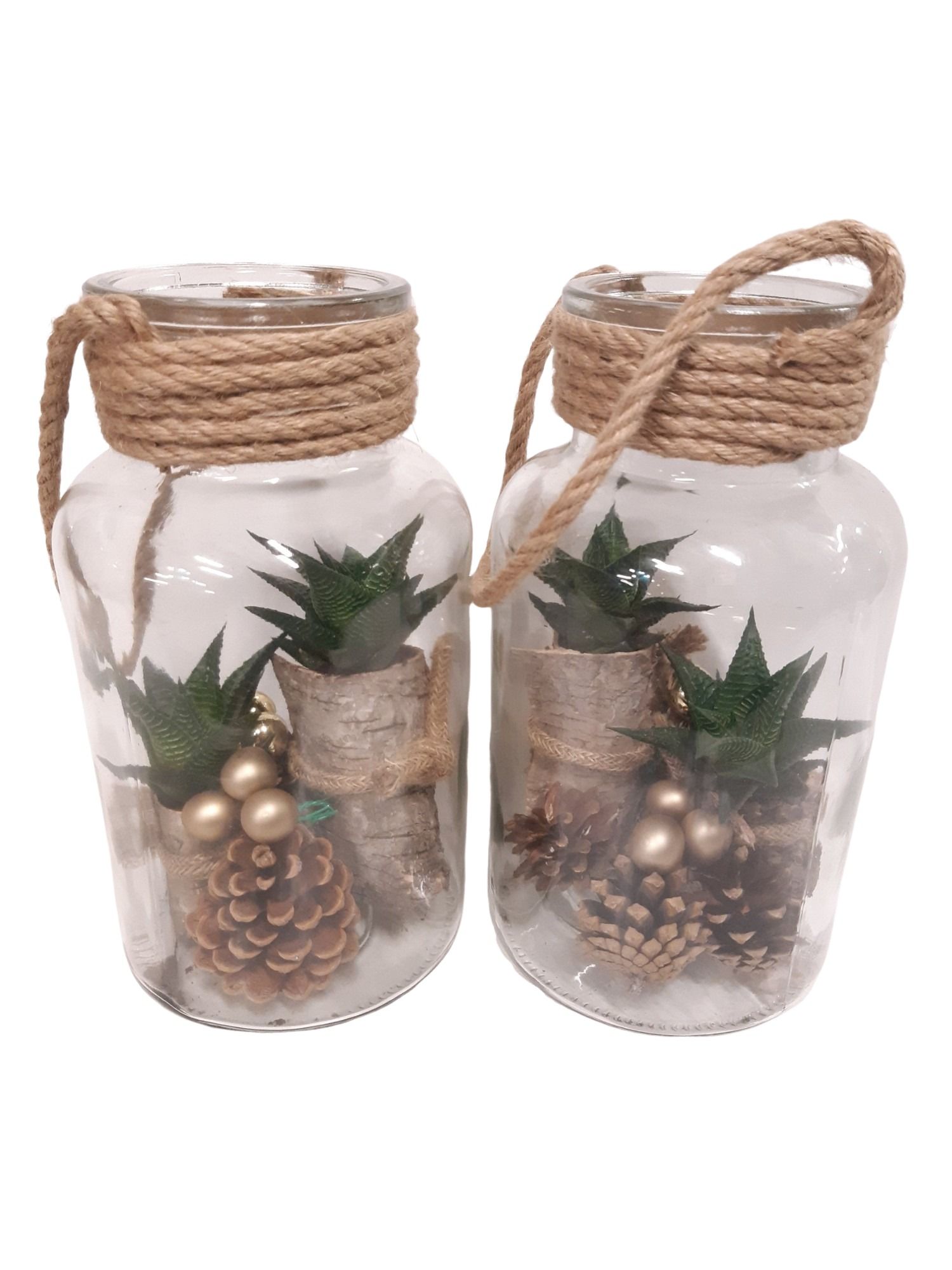 814 MIXKST Fles / Terrarium 14/26 Haworthia in schors Kerst, D 14