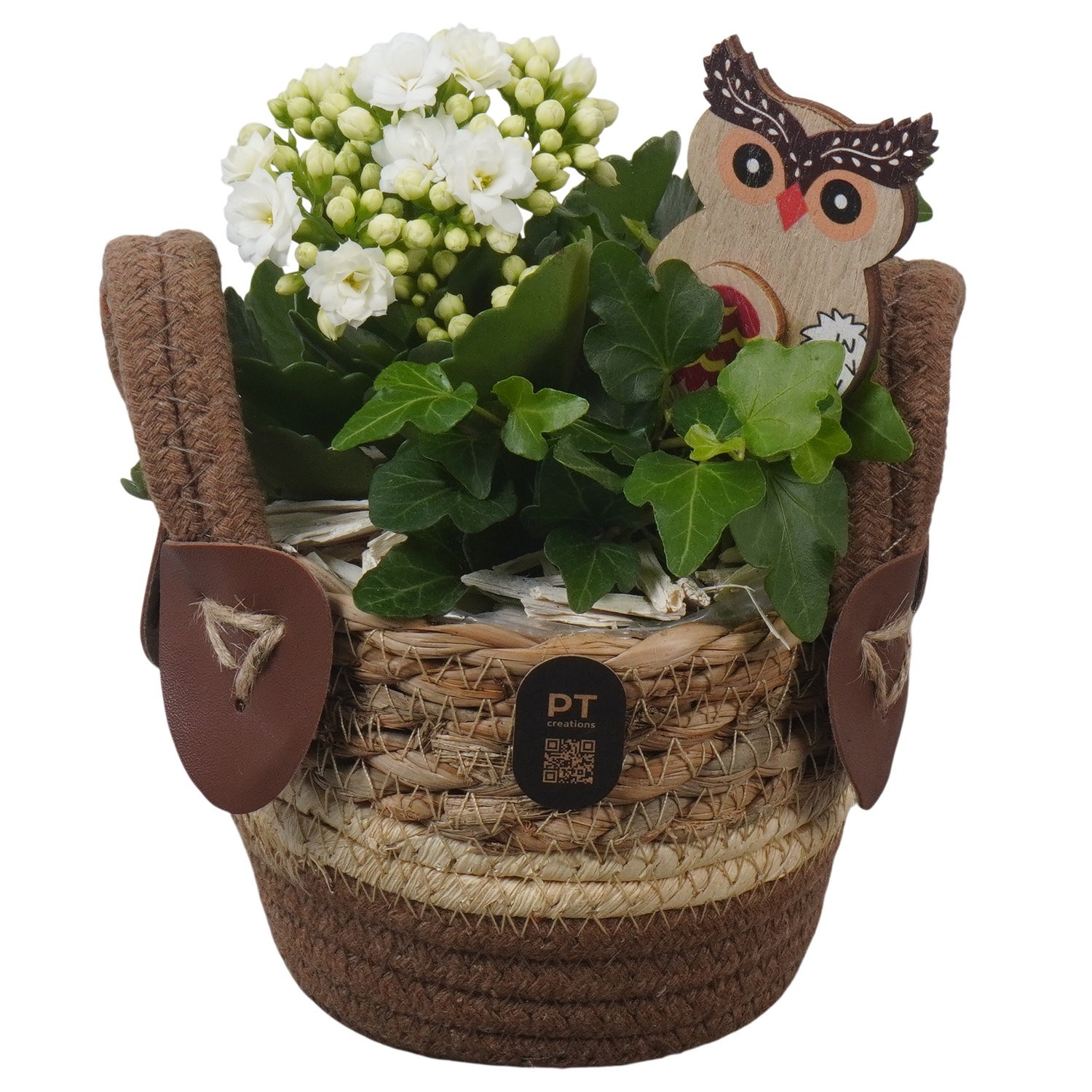 PTHI3295 Arrangement Autumn Indoor in rieten mand, D 12