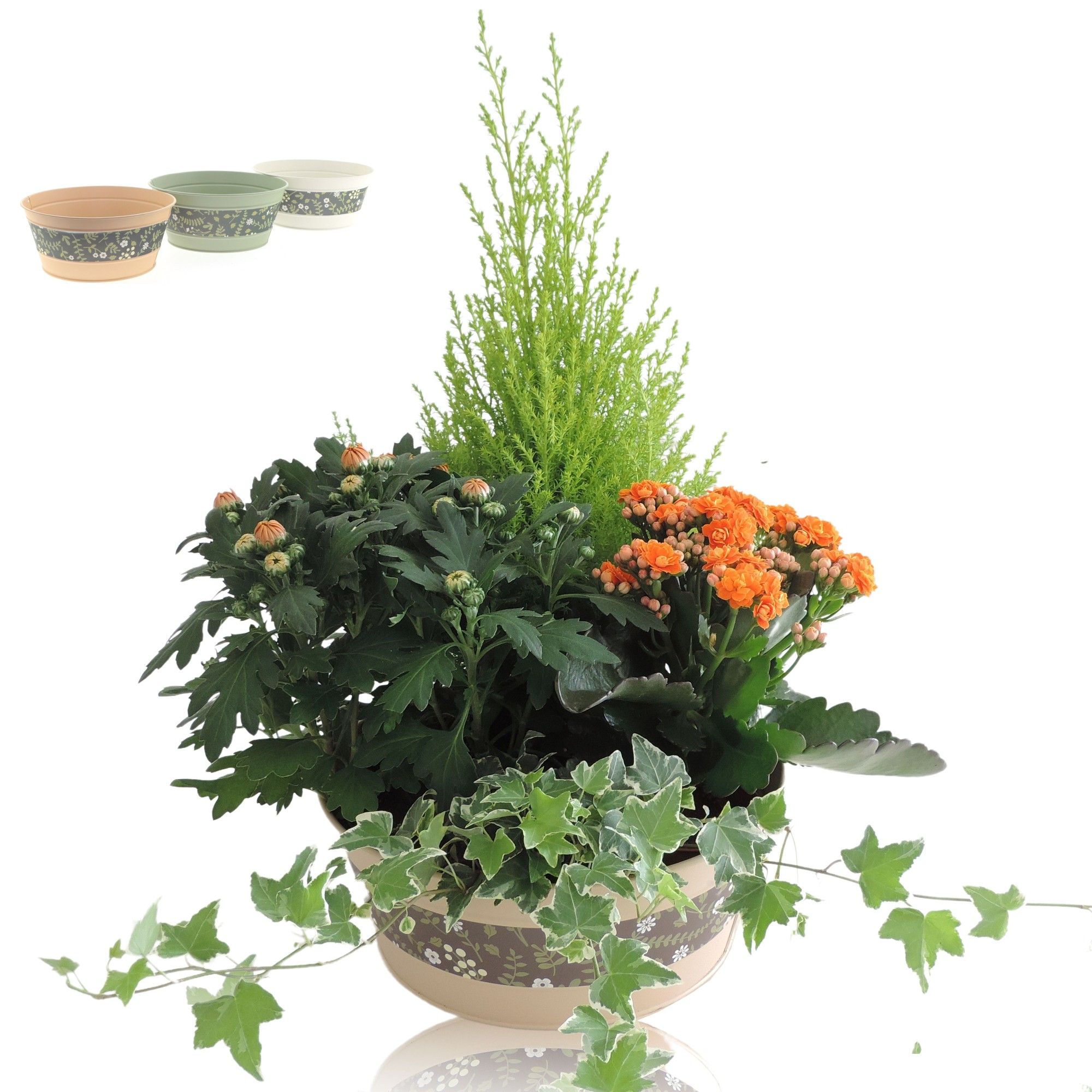 Collectie Florentina Arrangement in Schaal 25 cm, D 25