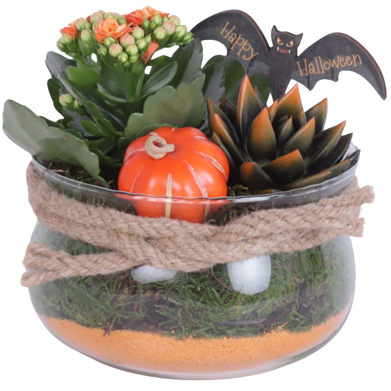 Halloween Arr. Indoor Glass Bowl with Rope Ø16cm 2PP, D 16 cm Halloween Arr. Indoor Glass Bowl with Rope Ø16cm 2PP, D 16 cm