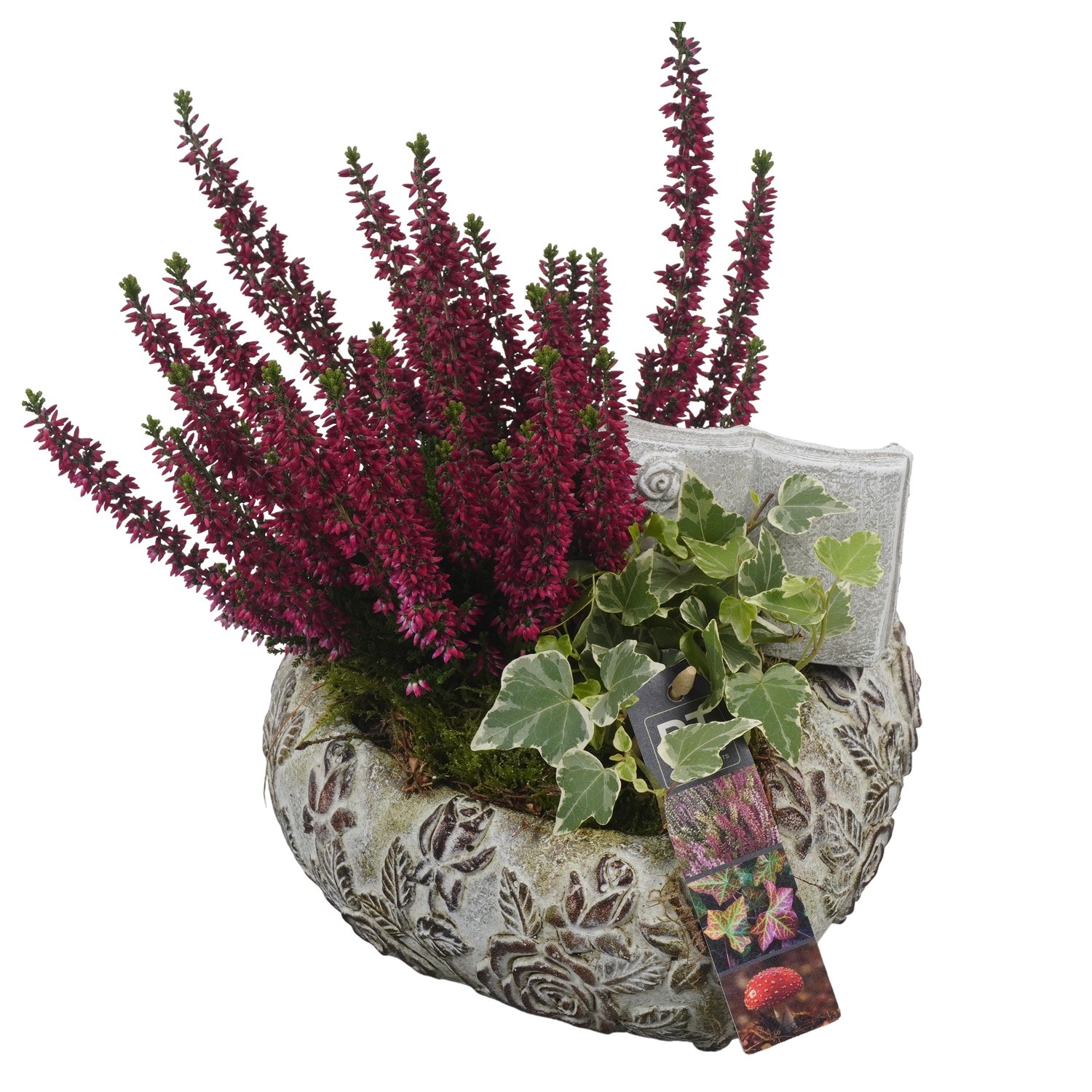 PTAH8615 Arrangement Allerheiligen in beton hart, D 22 cm PTAH8615 Arrangement Allerheiligen in beton hart, D 22 cm