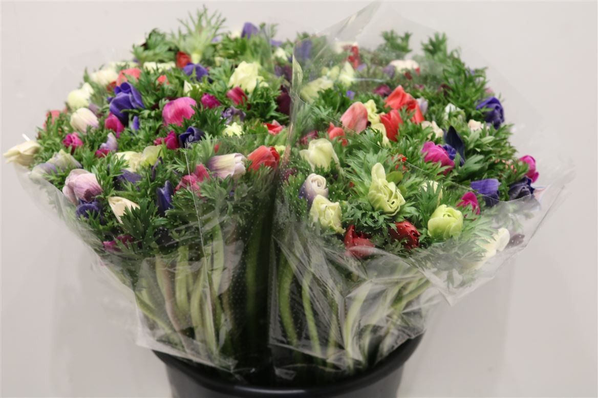 Анемон Мариане Микс 40, шт.