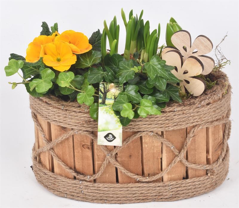 Hout ovaal touw decor 26x16cm, D 26