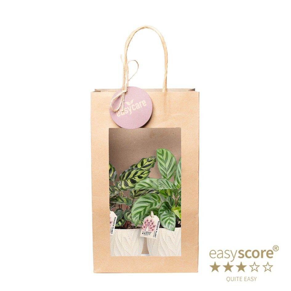 Paperbag Creation, Leaf Sand, D 9 cm