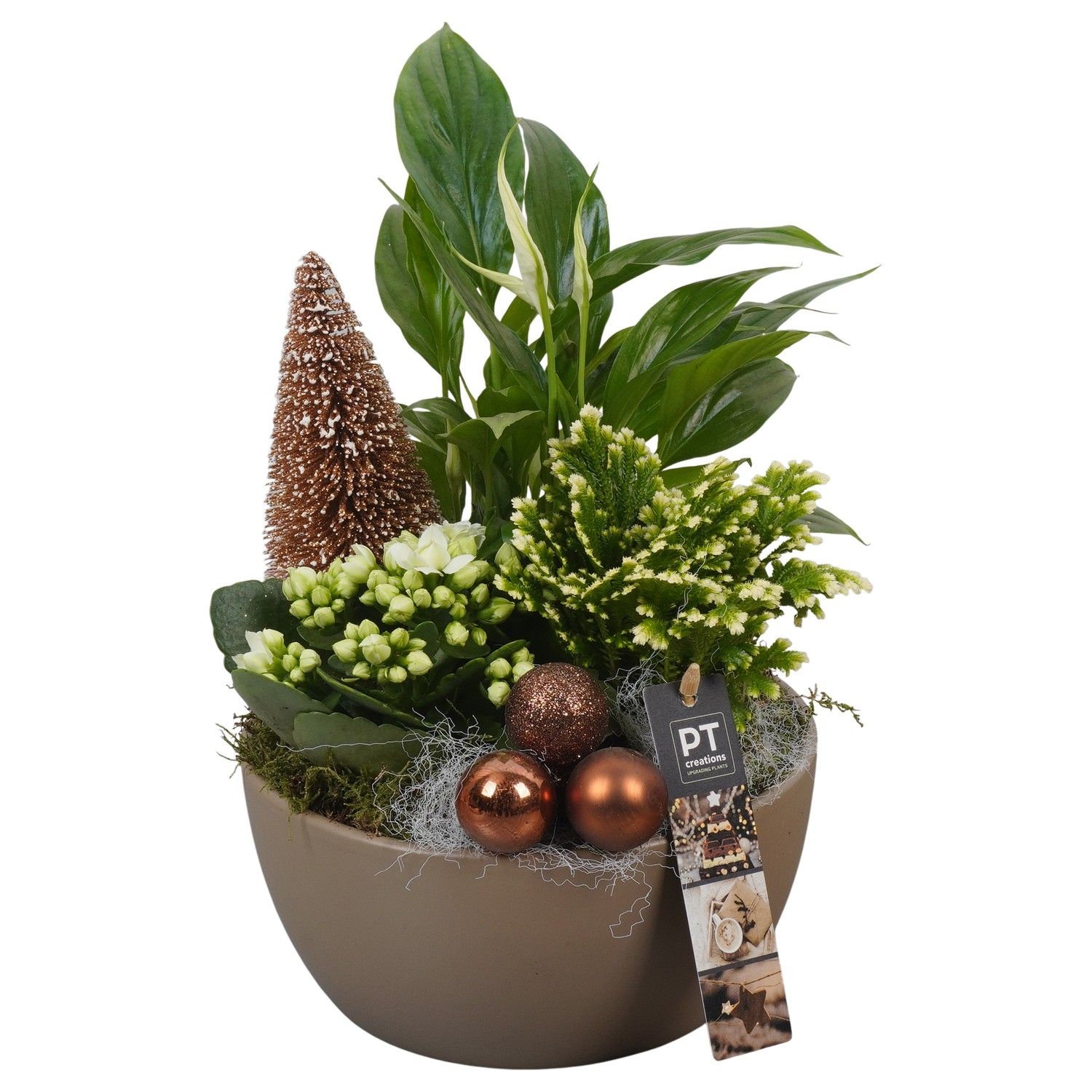 PTCHB9733 Arrangement Christmas Bronze in keramiek schaal, D 18 cm