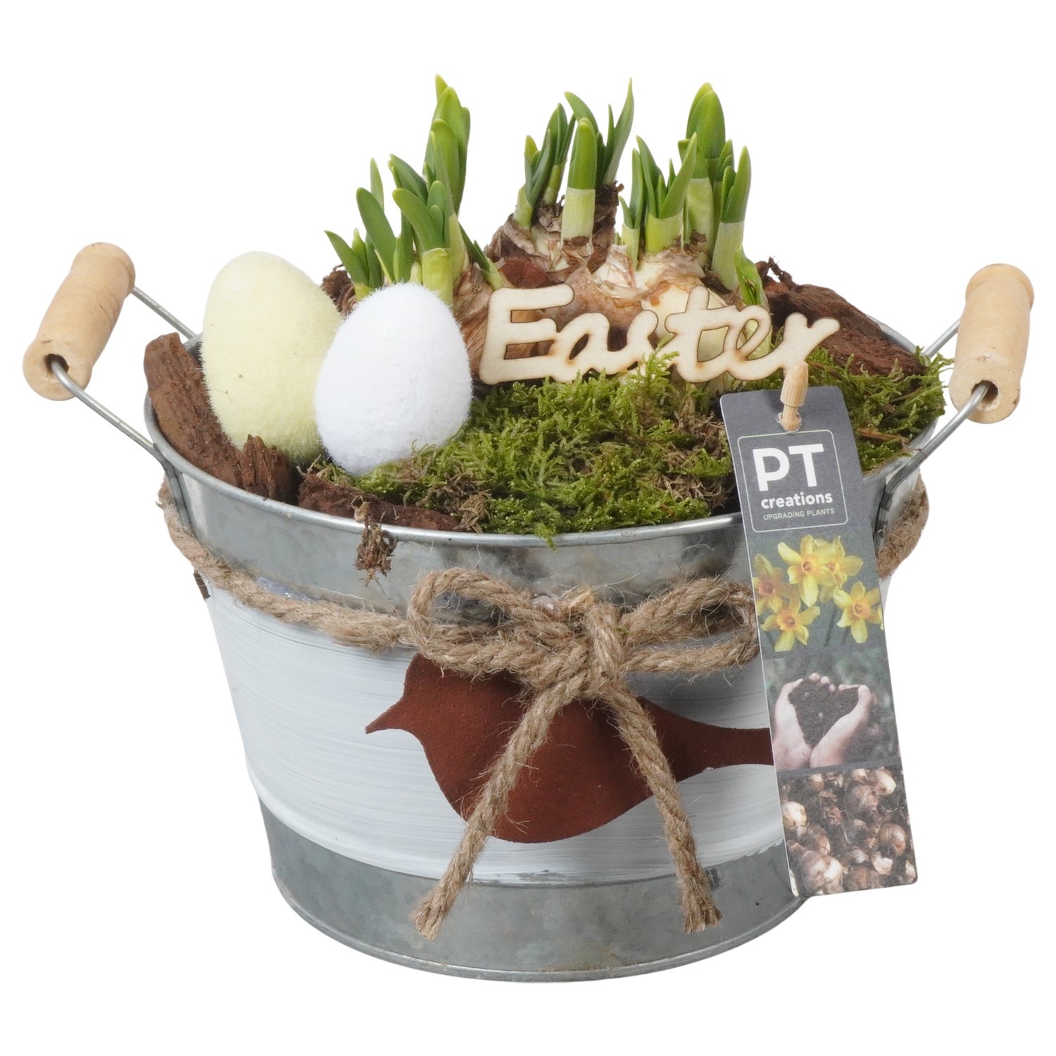 PTNP4449 Arrangement Narcissus Easter in zink pot, D 18