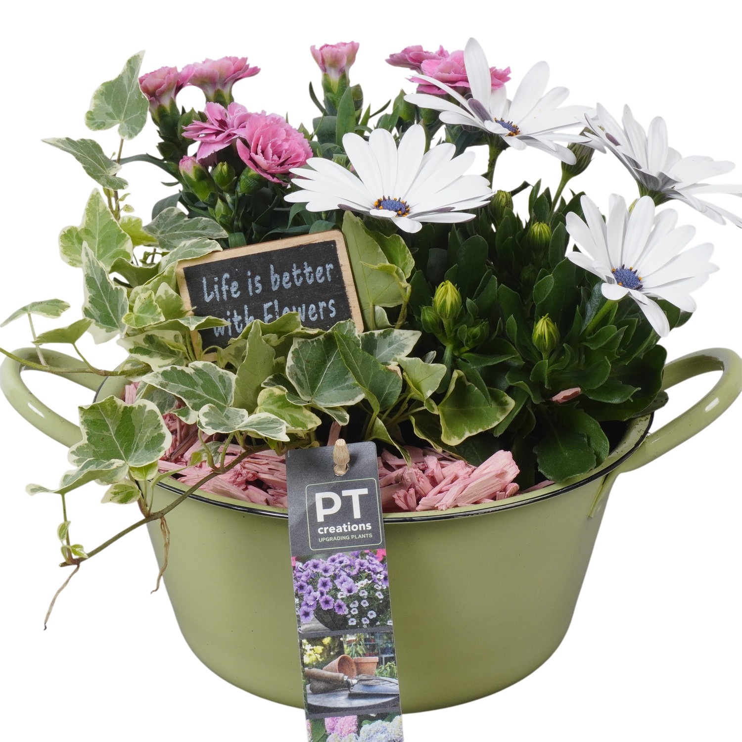 PTPP6844 Arrangement Patio in metalen schaal, D 19