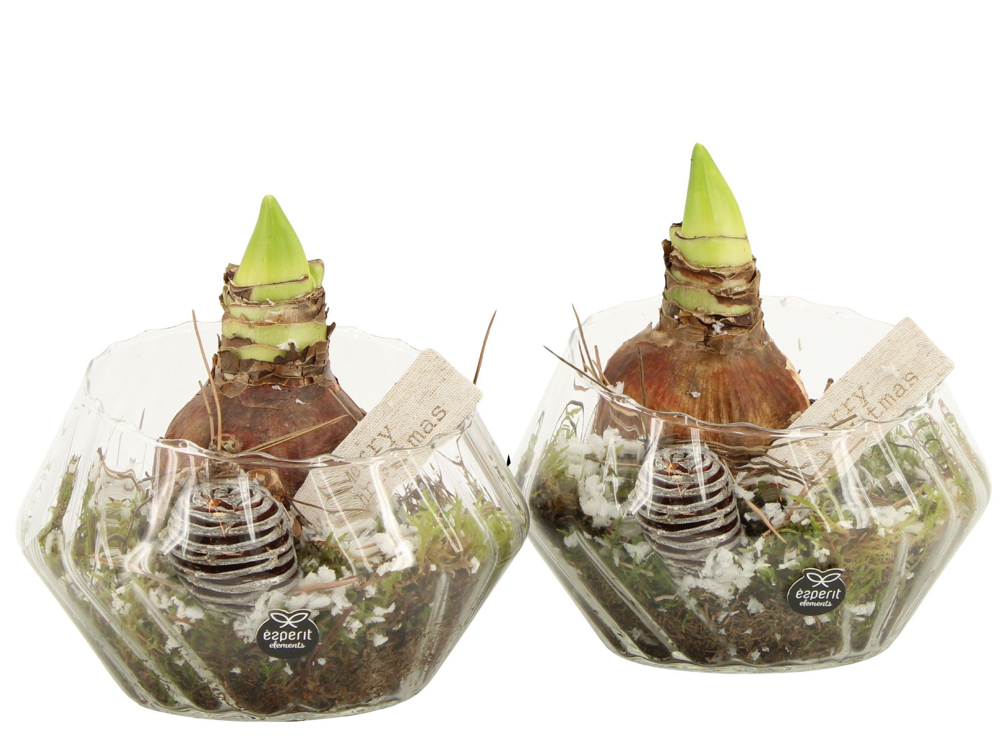 61966: X-mas arrangement, D 18