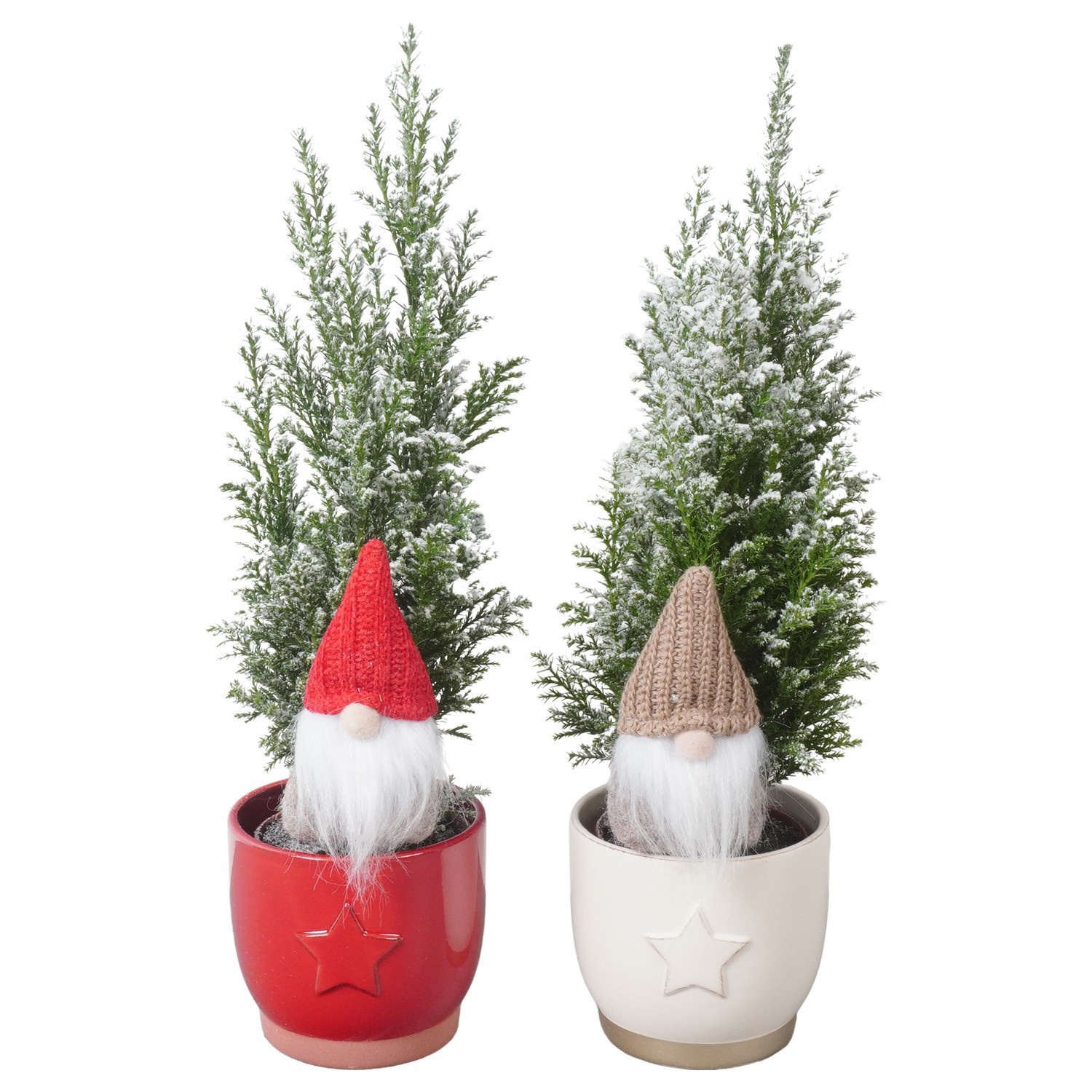 PTK26782 Ellwoodii met sneeuw in keramiek mix met decoratie, D 10