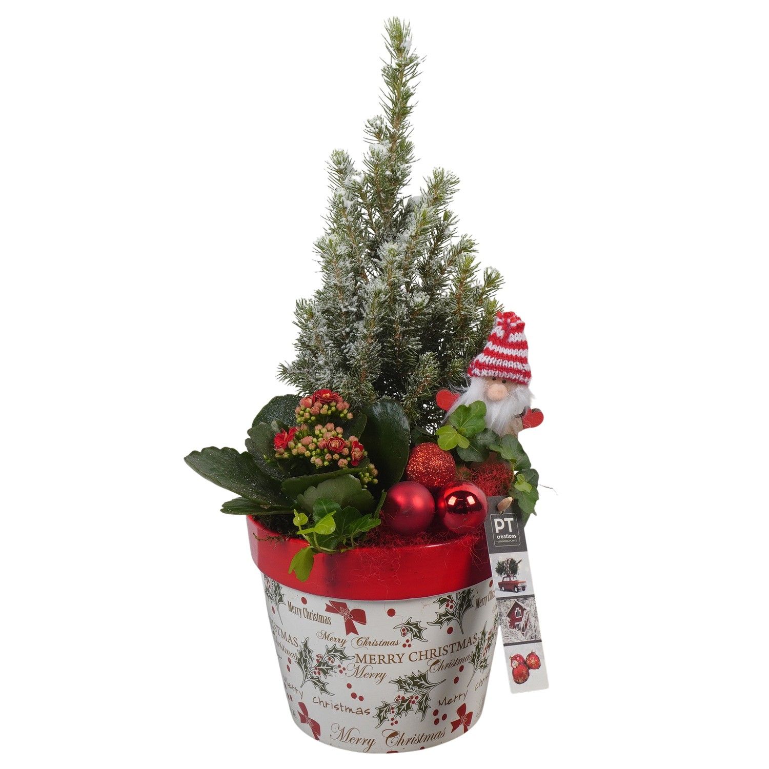 PTCHR7295 Arrangement Christmas Red in keramiek pot, D 16 cm