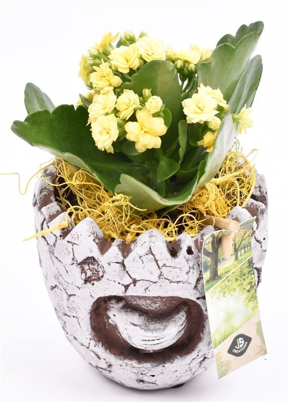 Cement paasei 11cm, D 11