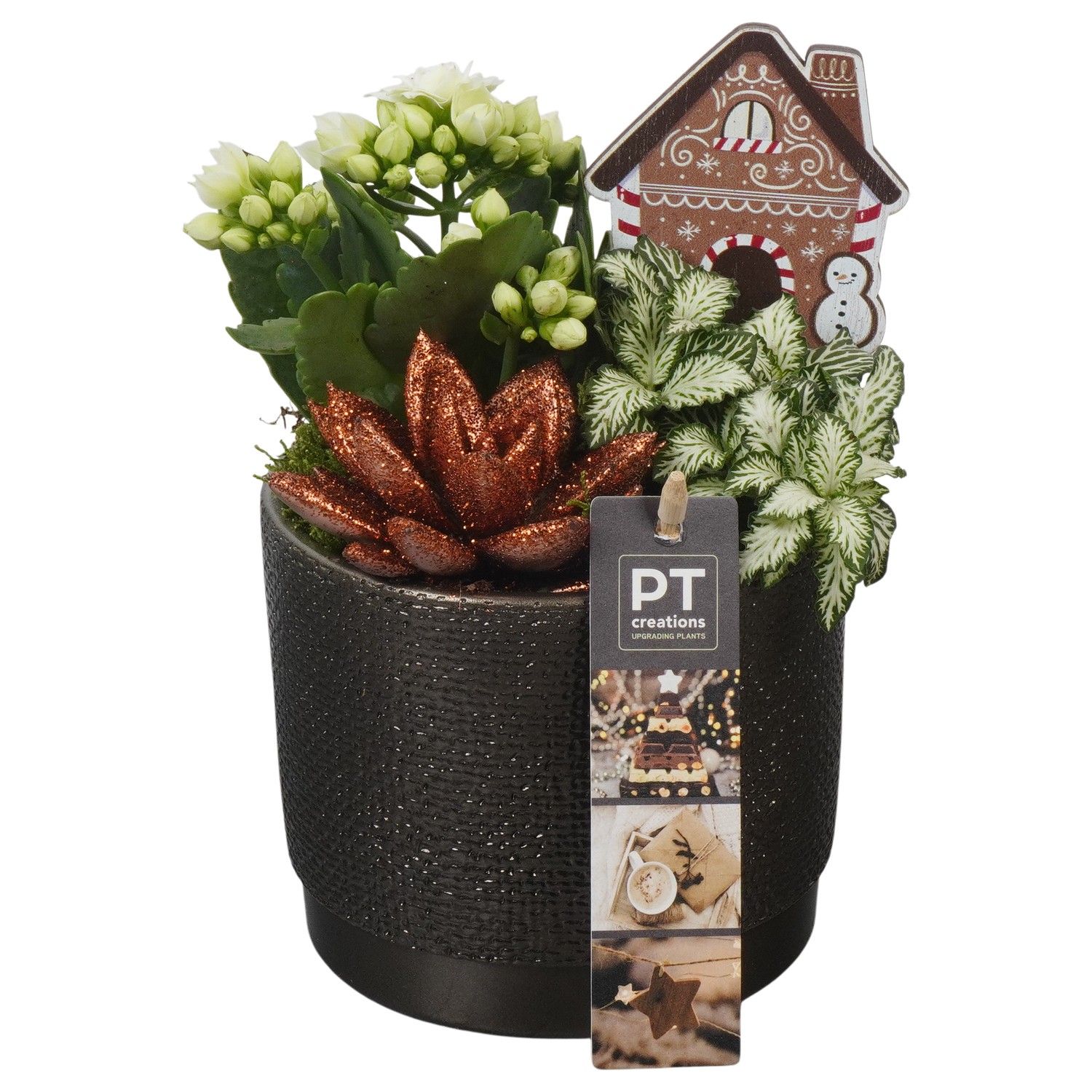 PTCHB9758 Arrangement Christmas Bronze in keramiek pot, D 12 cm
