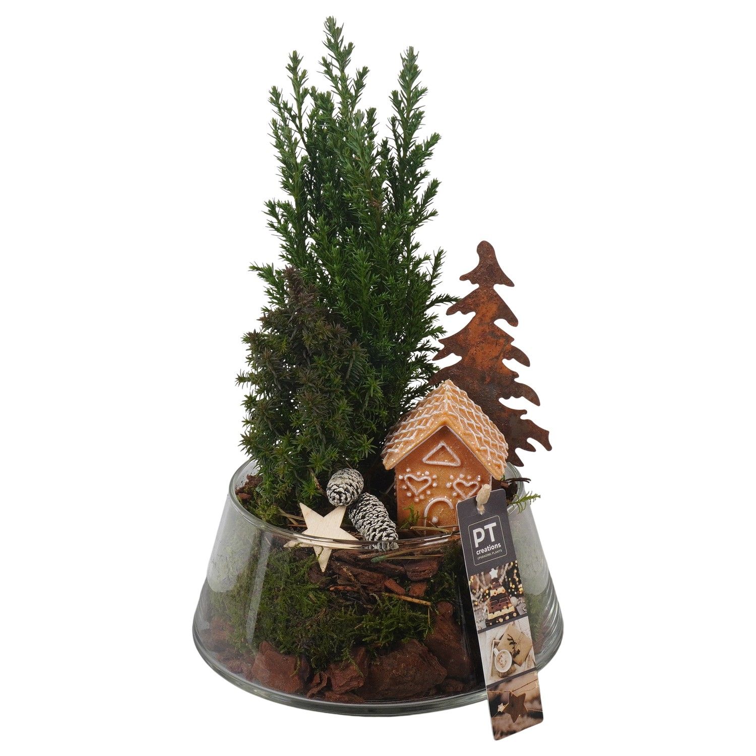 PTCWW6833 Arrangement Winter in glas schaal, D 18 cm